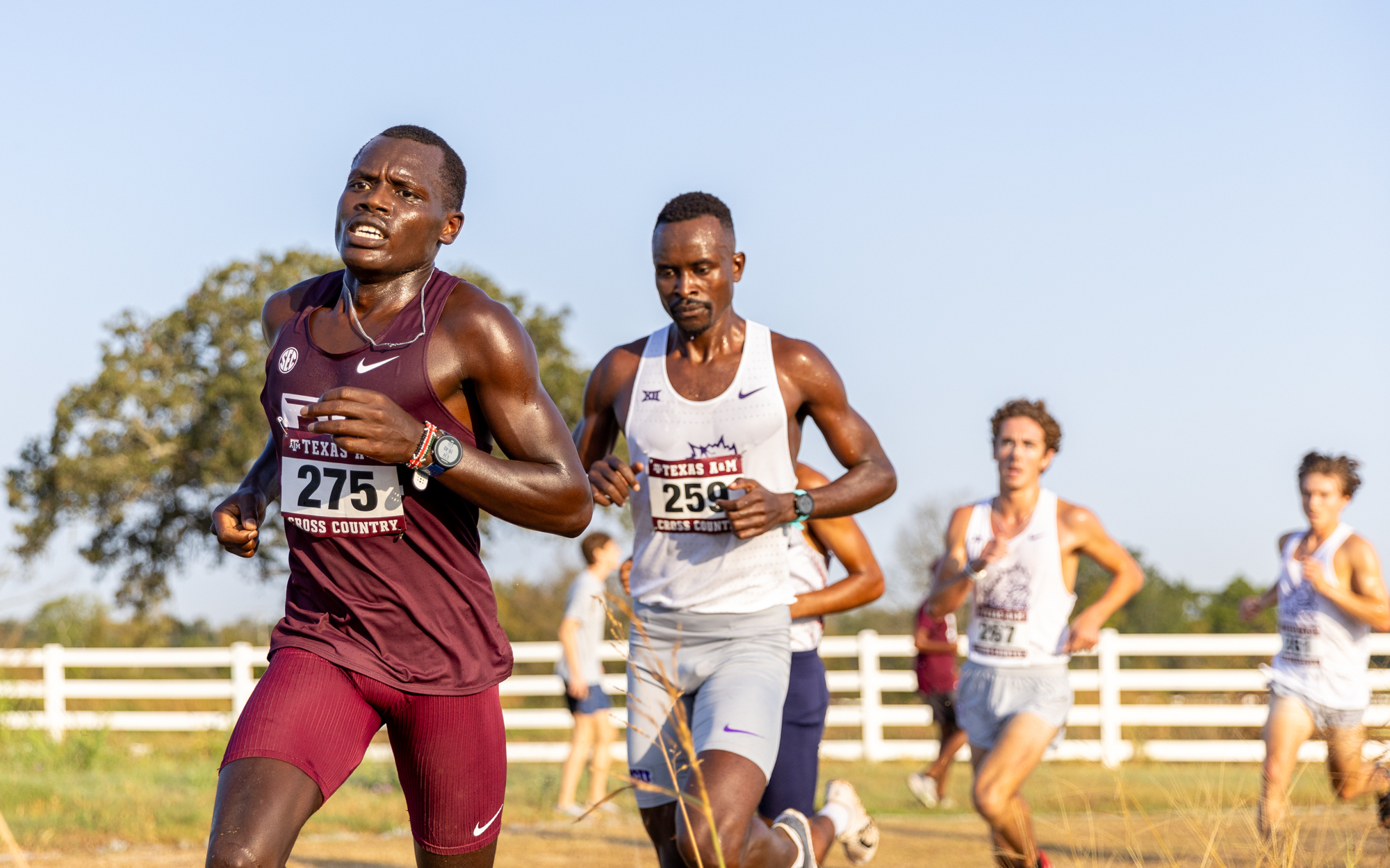 GALLERY: Texas A&M Cross Country Invitational