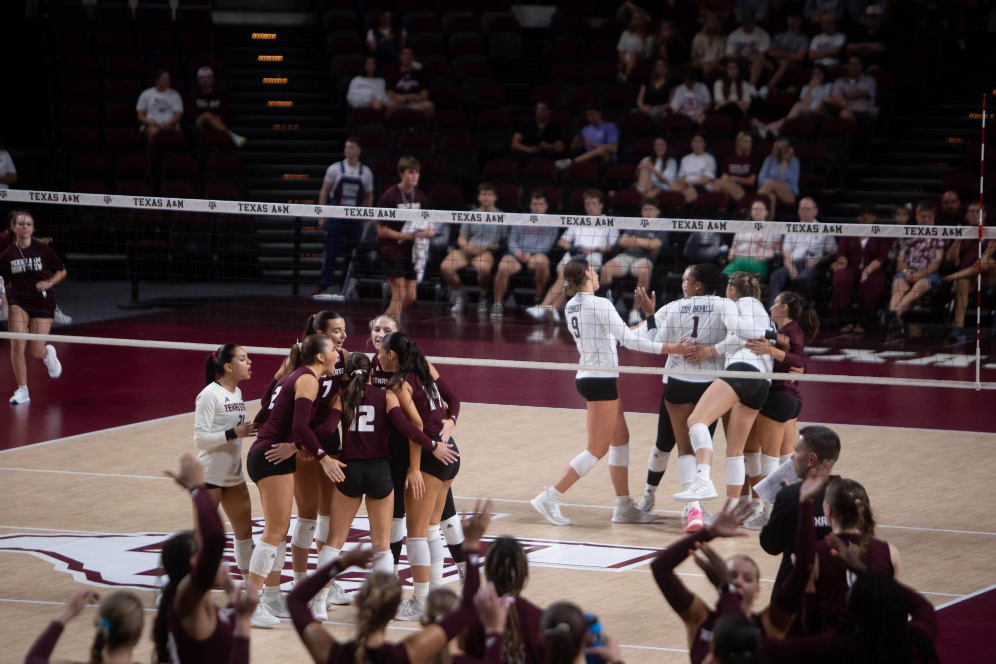 GALLERY: Volleyball vs. Texas State