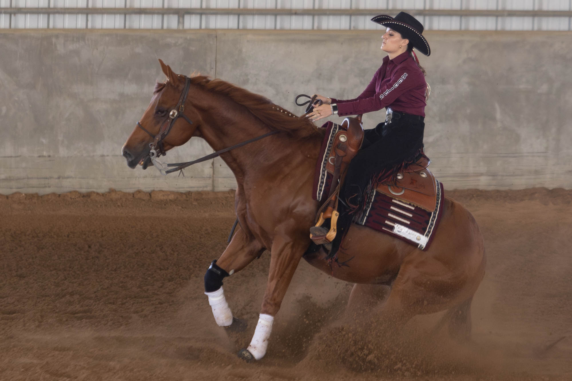 GALLERY: Equestrian vs. South Carolina