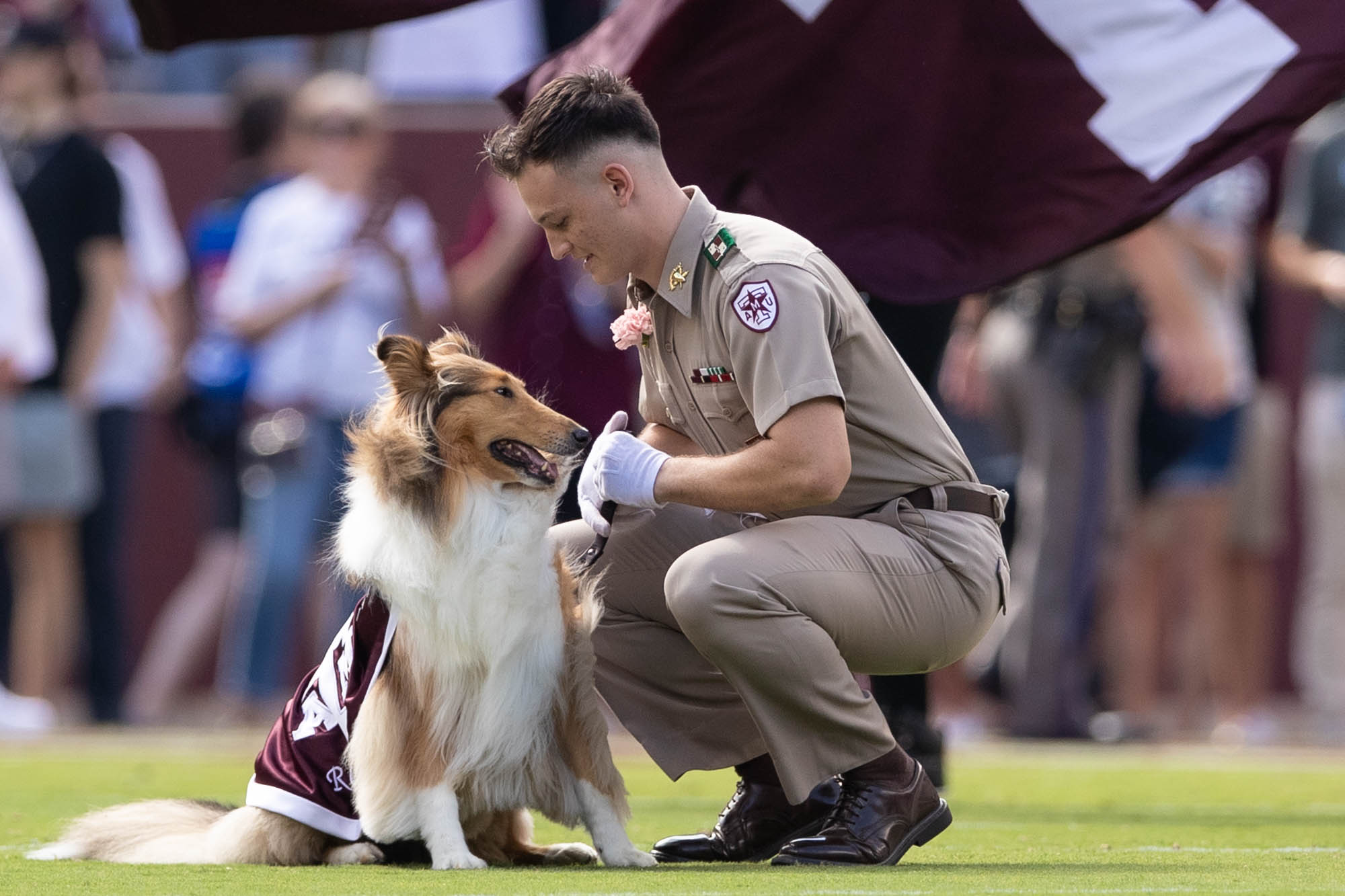 GALLERY: Football vs. Missouri