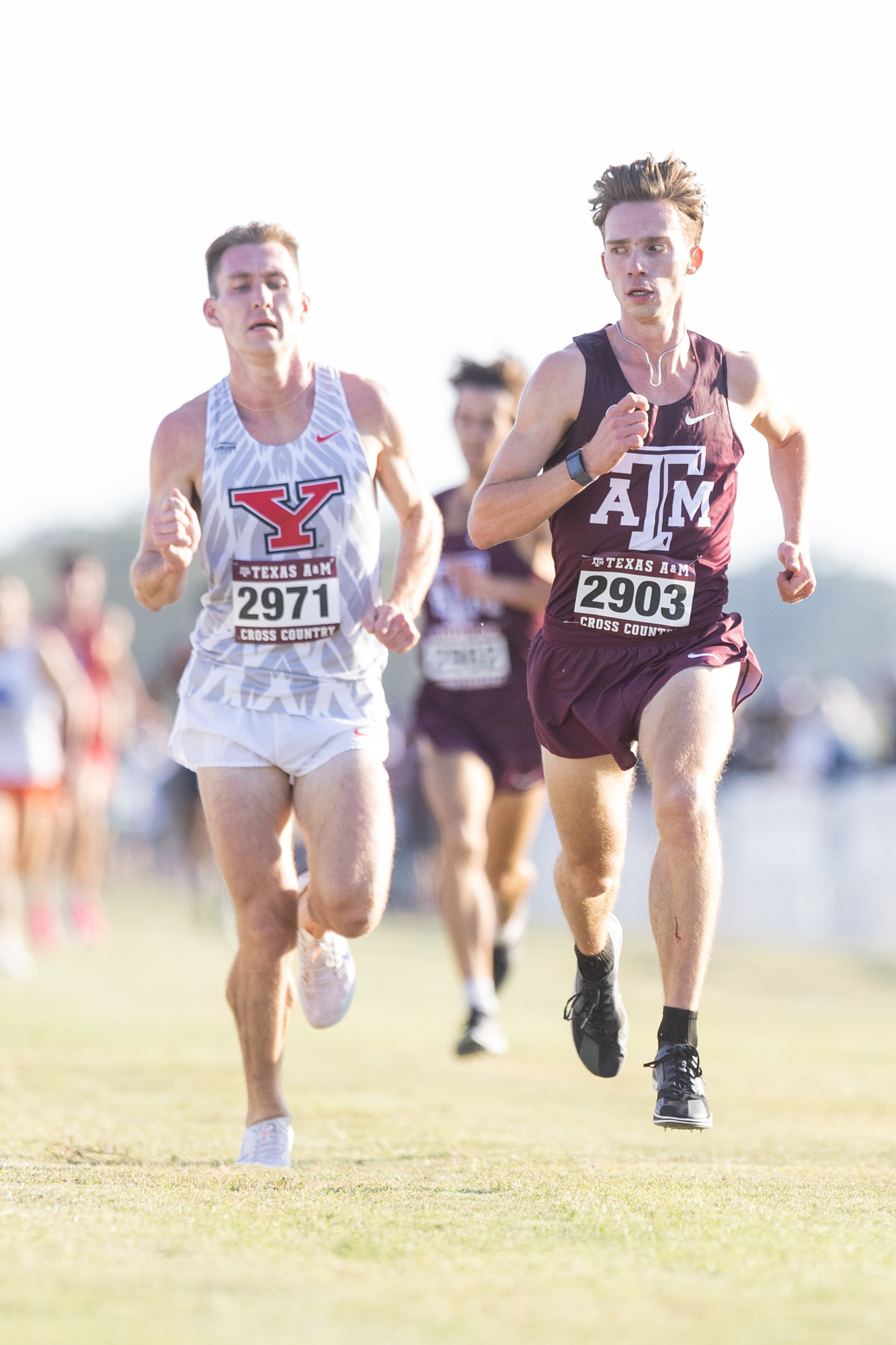 GALLERY: Texas A&M Arturo Barrios Cross Country Invitational