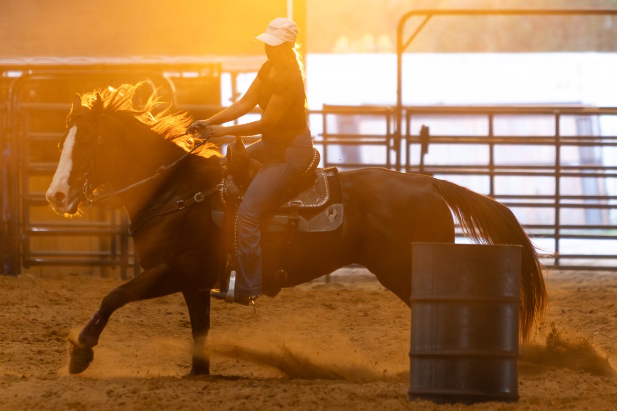 Abi DePriest runs around a barrel during Texas A&M's Rodeo Team barrel racing practice at Dick Freeman Arena on Wednesday, Oct. 2, 2024. (Hannah Harrison/The Battalion)