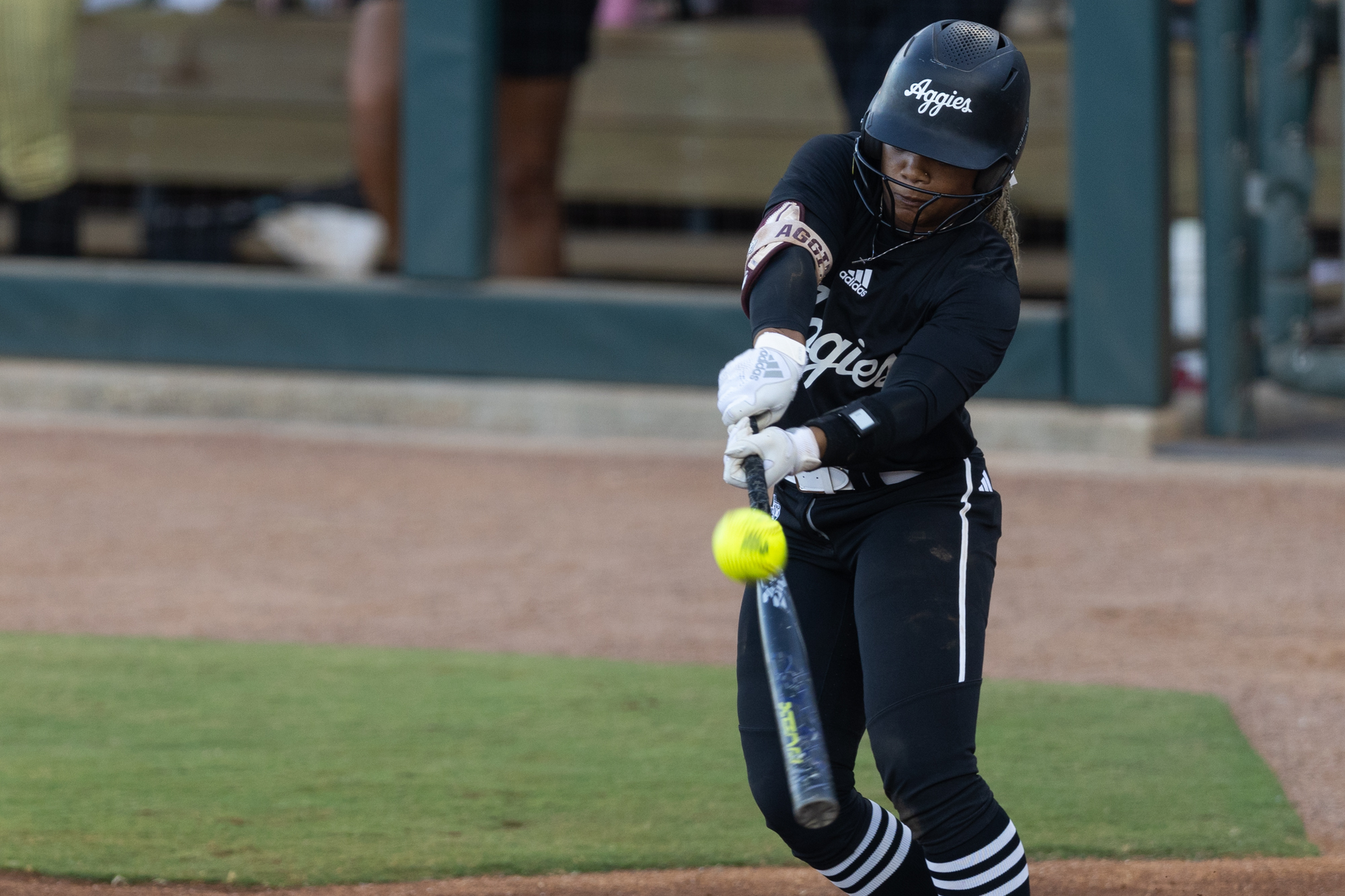 GALLERY: Softball vs. Temple College