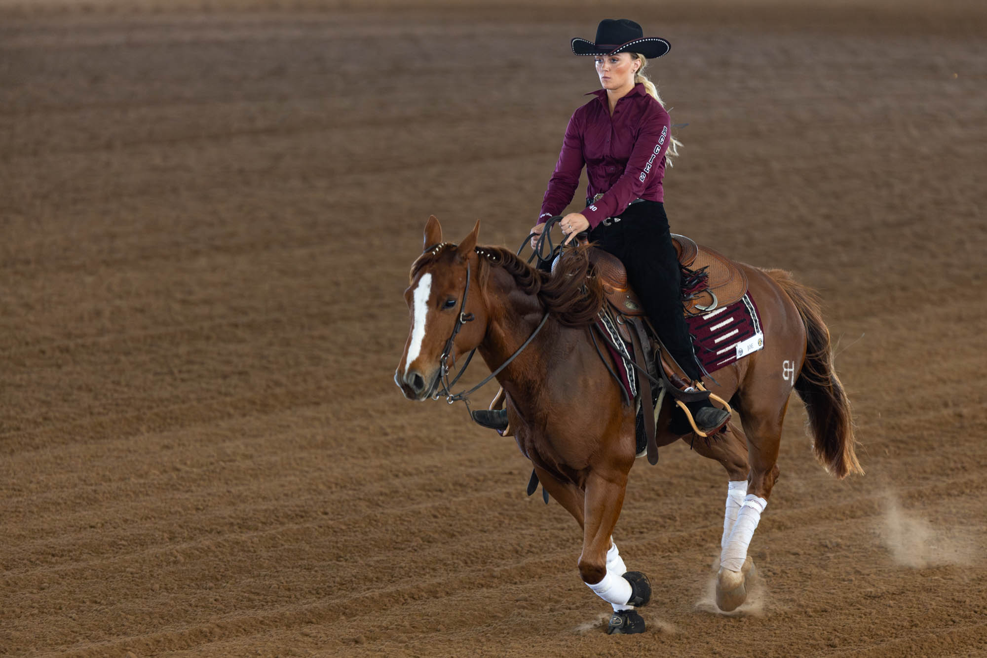 GALLERY: Equestrian vs. South Carolina