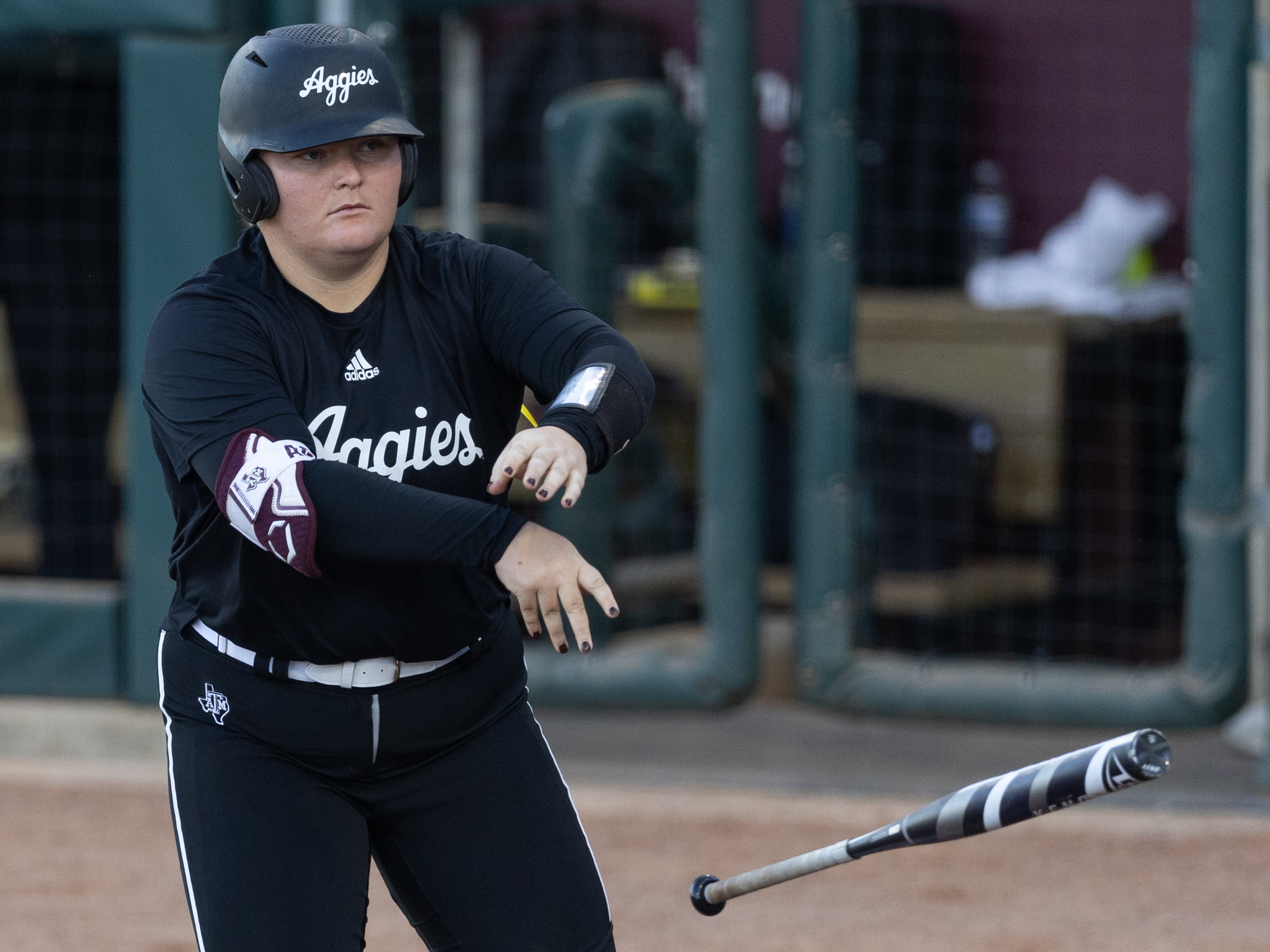 GALLERY: Softball vs. Temple College