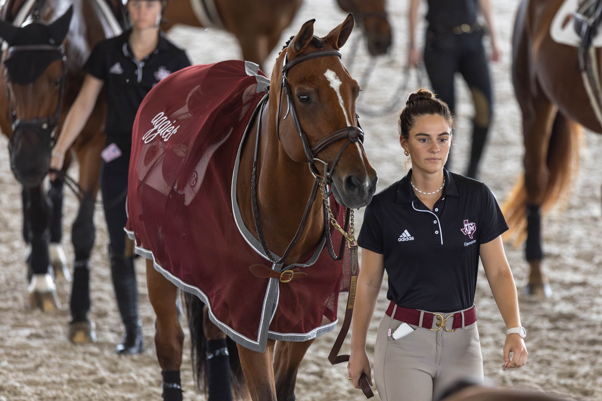 GALLERY: Equestrian vs. South Carolina