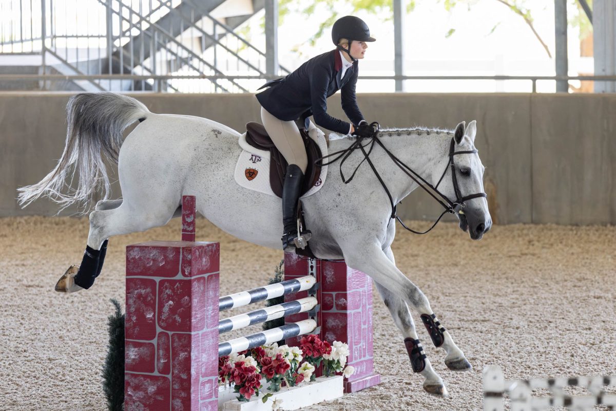 Devon Thomas performs a jump in the jumping seat portion during Texas A&amp;M's meet against South Carolina at the Hidebrand Equine Complex on Friday, Oct. 25, 2024. (Micah Richter/The Battalion)