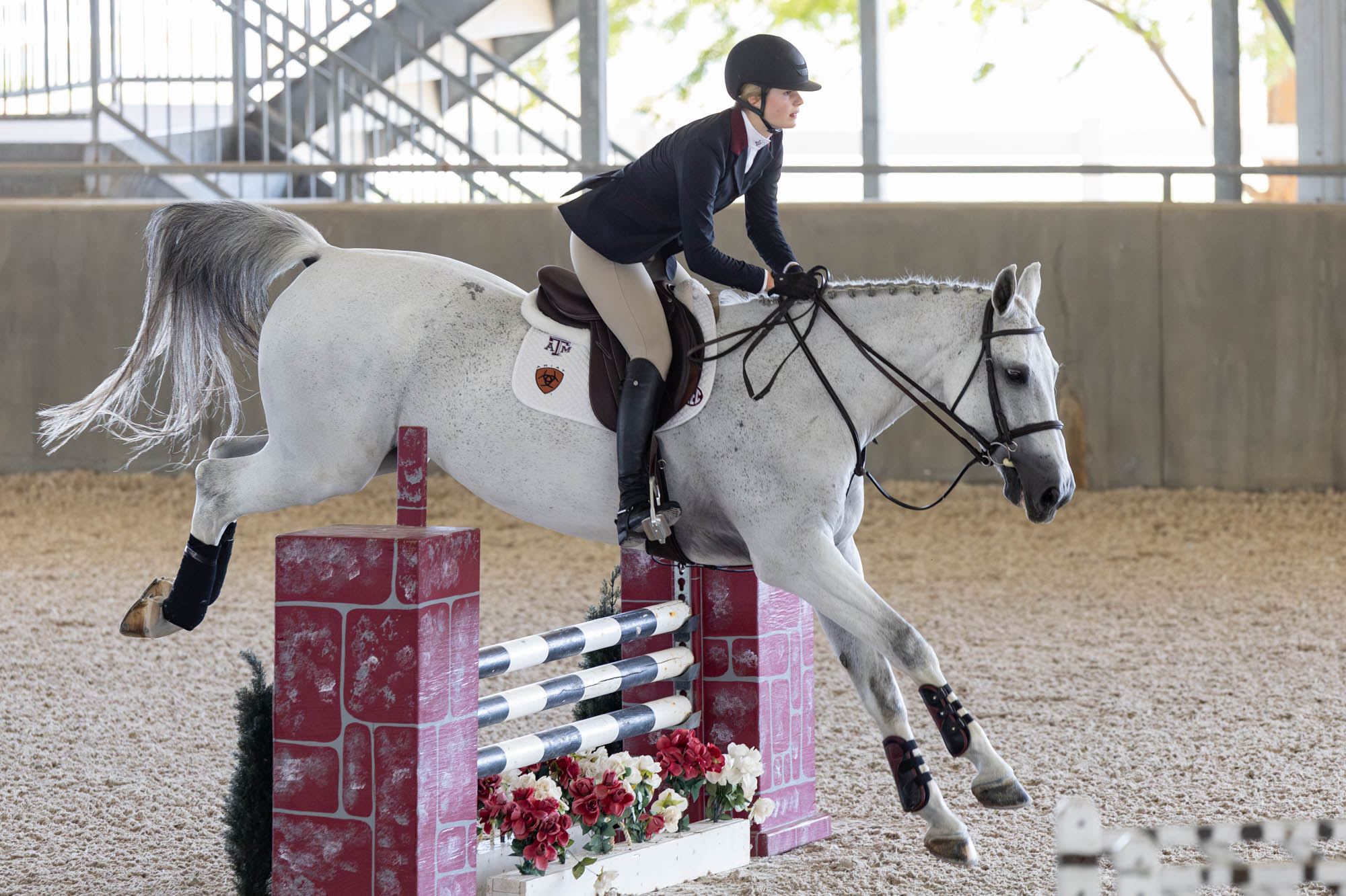 GALLERY: Equestrian vs. South Carolina