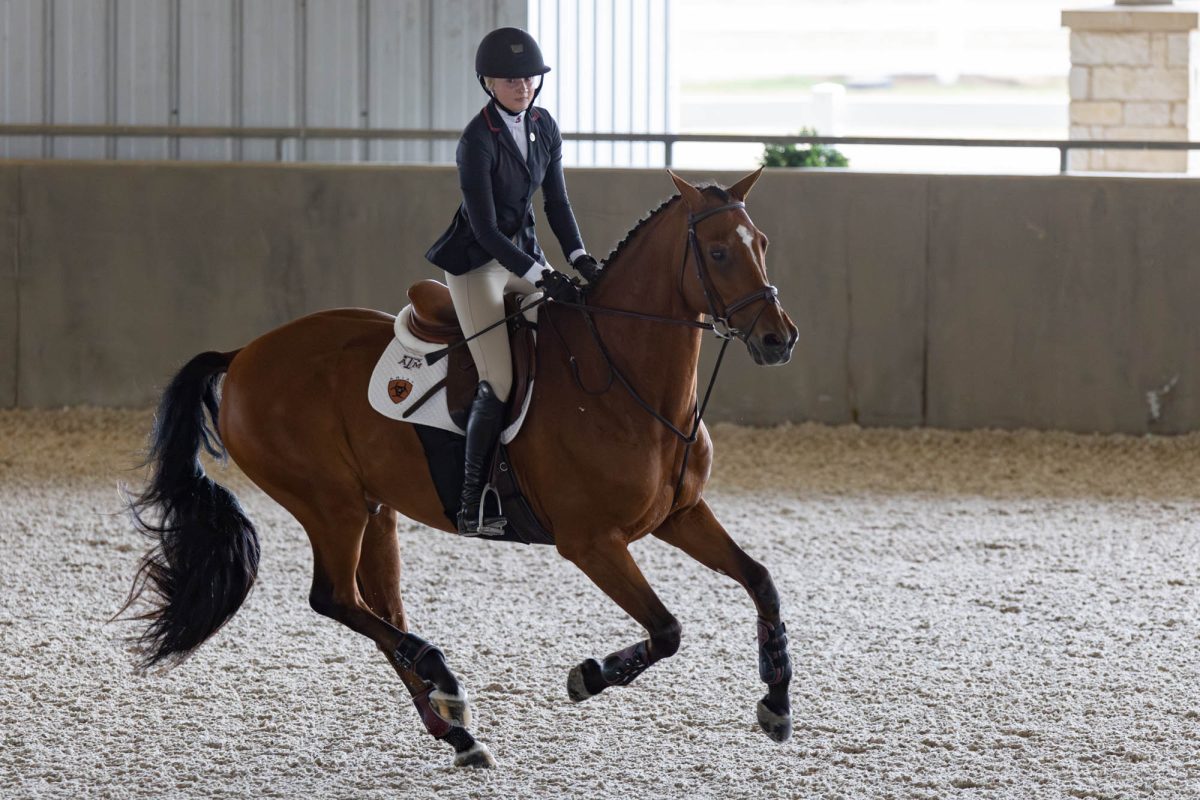 Alida Treuting rides in the jumping seat portion during Texas A&amp;M's meet against South Carolina at the Hidebrand Equine Complex on Friday, Oct. 25, 2024. (Micah Richter/The Battalion)