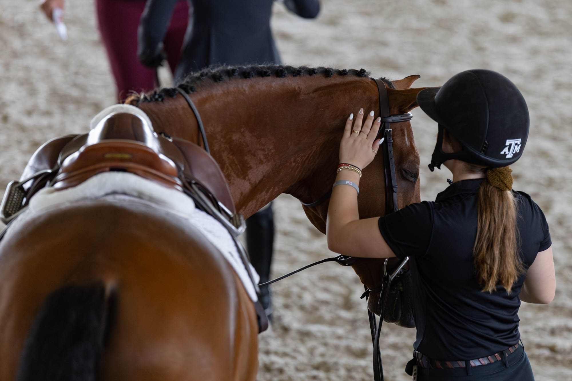 GALLERY: Equestrian vs. South Carolina