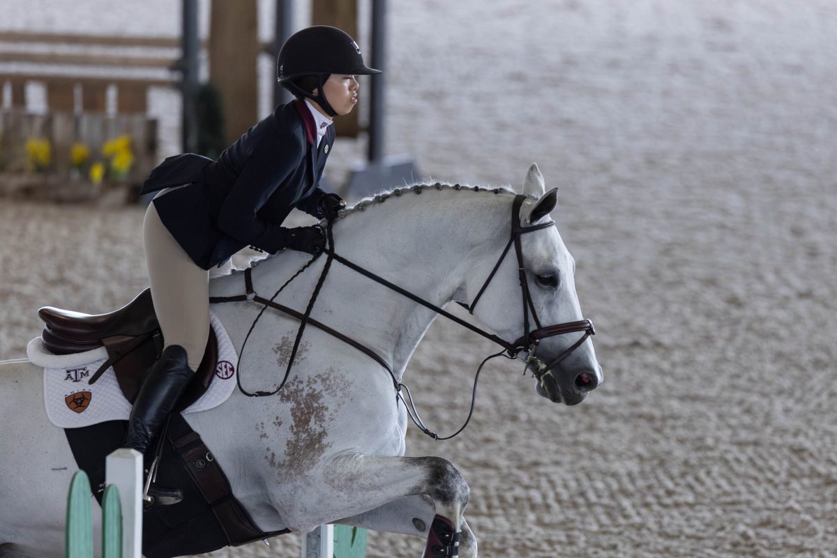 Alexa Leong performs a jump in the jumping seat portion during Texas A&amp;M's meet against South Carolina at the Hidebrand Equine Complex on Friday, Oct. 25, 2024. (Micah Richter/The Battalion)