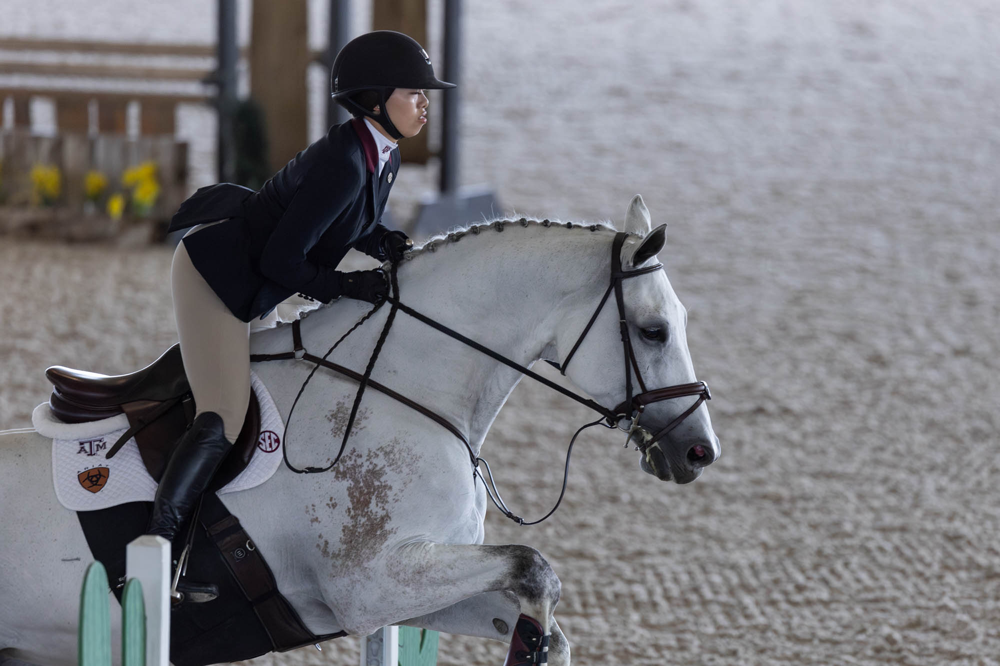 GALLERY: Equestrian vs. South Carolina