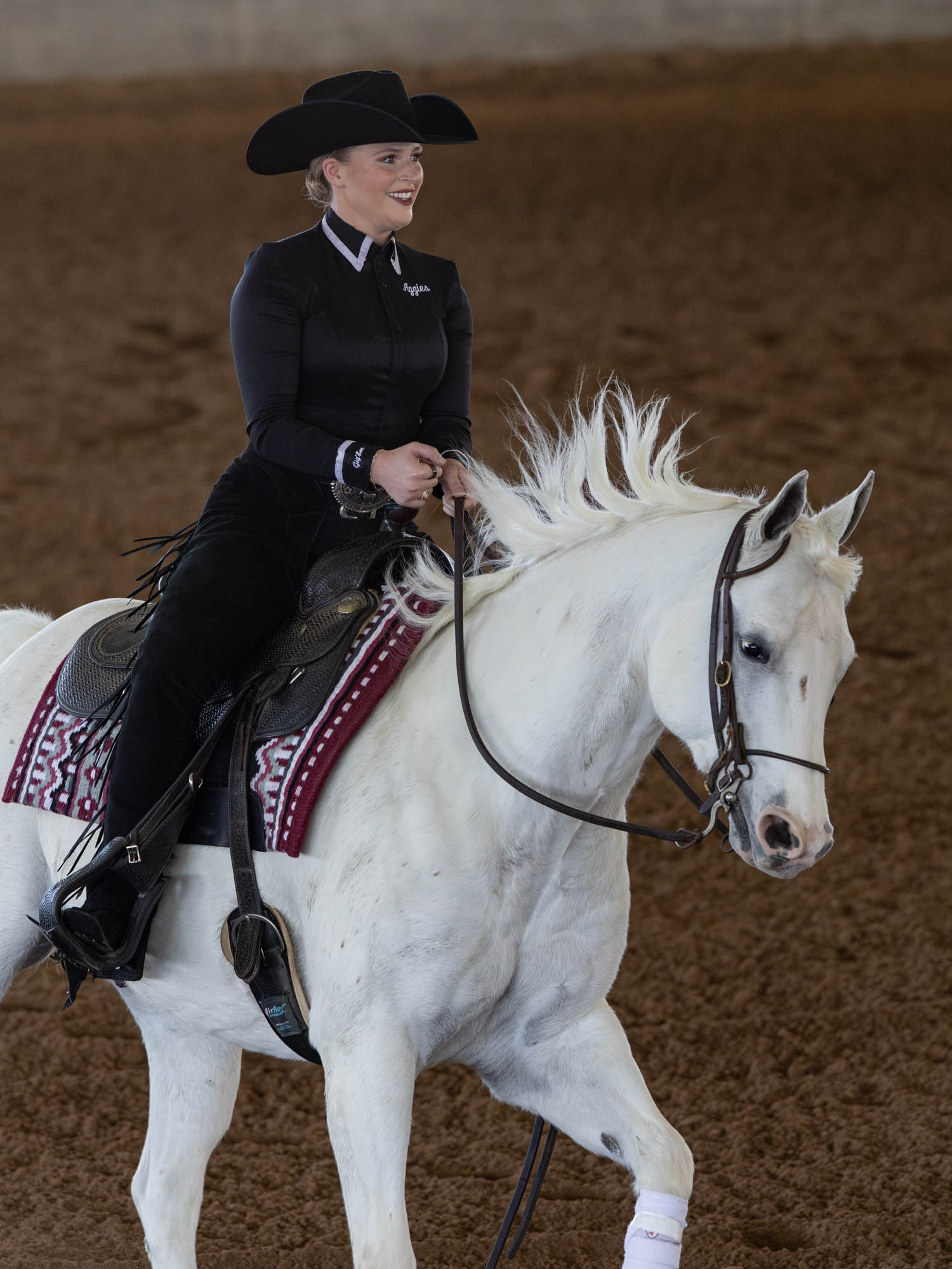 GALLERY: Equestrian vs. South Carolina