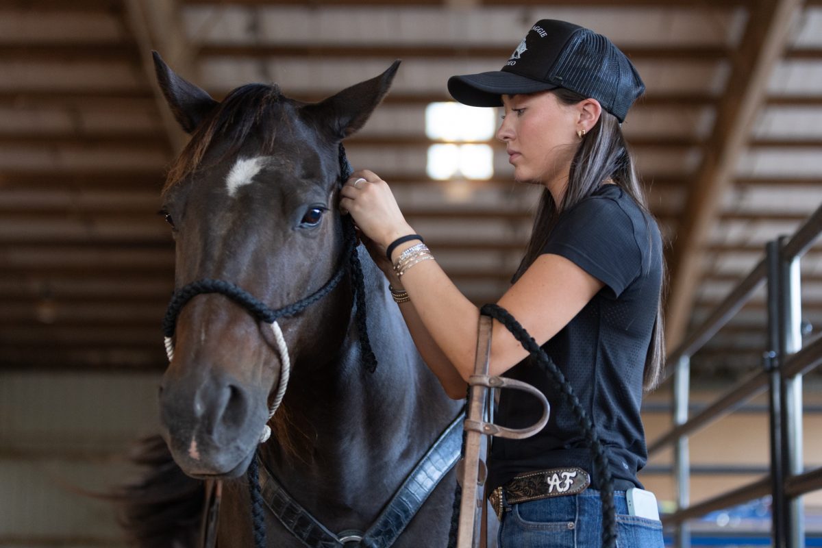 Allie Frey prepares her horse during Texas A&M's Rodeo Team barrel racing practice at Dick Freeman Arena on Wednesday, Oct. 2, 2024. (Hannah Harrison/The Battalion)