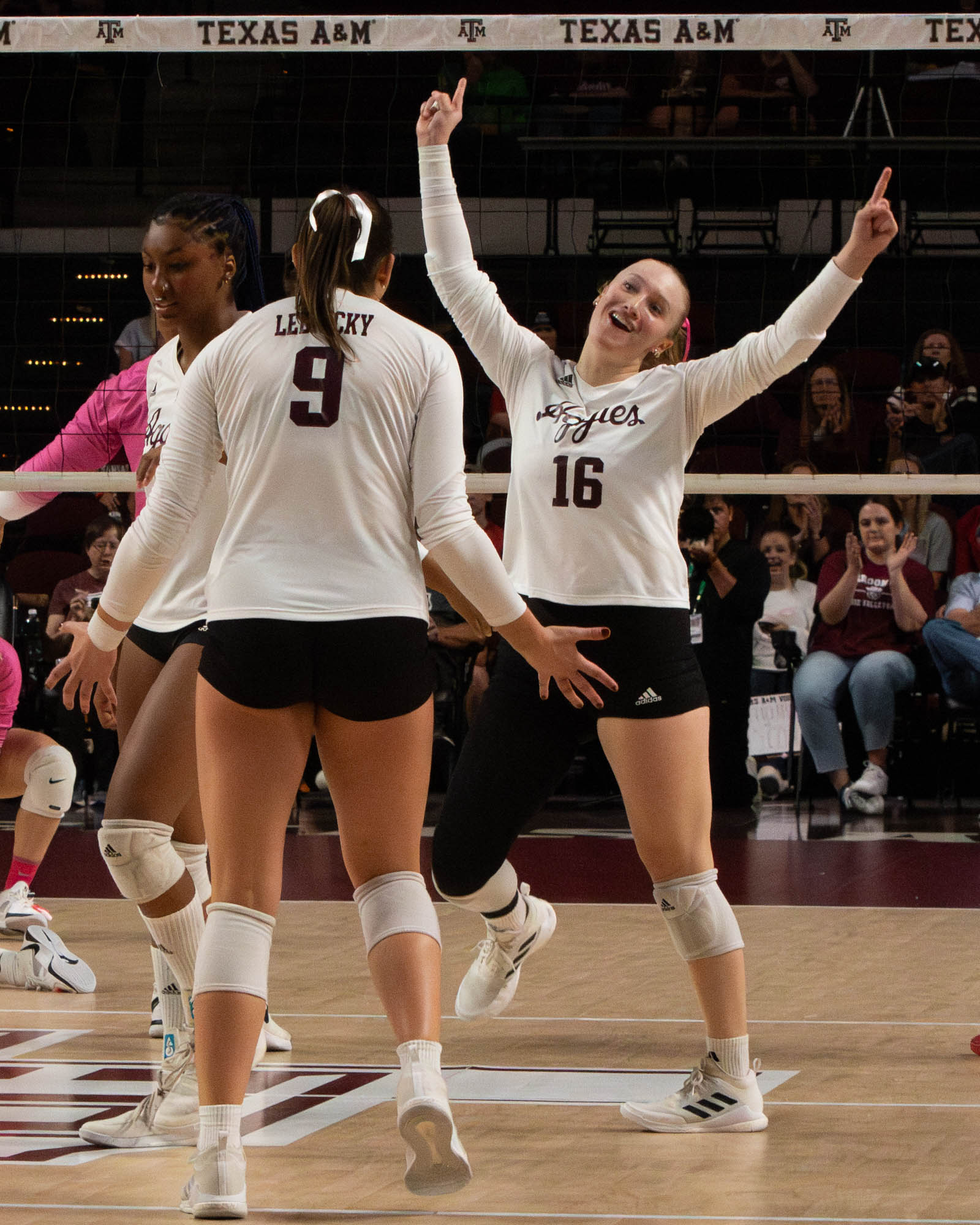 GALLERY: Volleyball vs. Arkansas