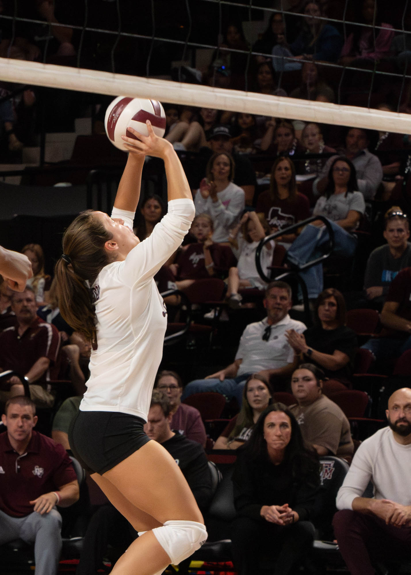 GALLERY: Volleyball vs. Arkansas