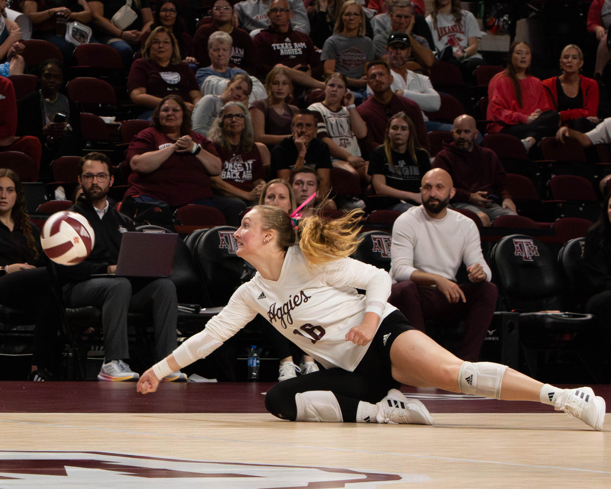 GALLERY: Volleyball vs. Arkansas