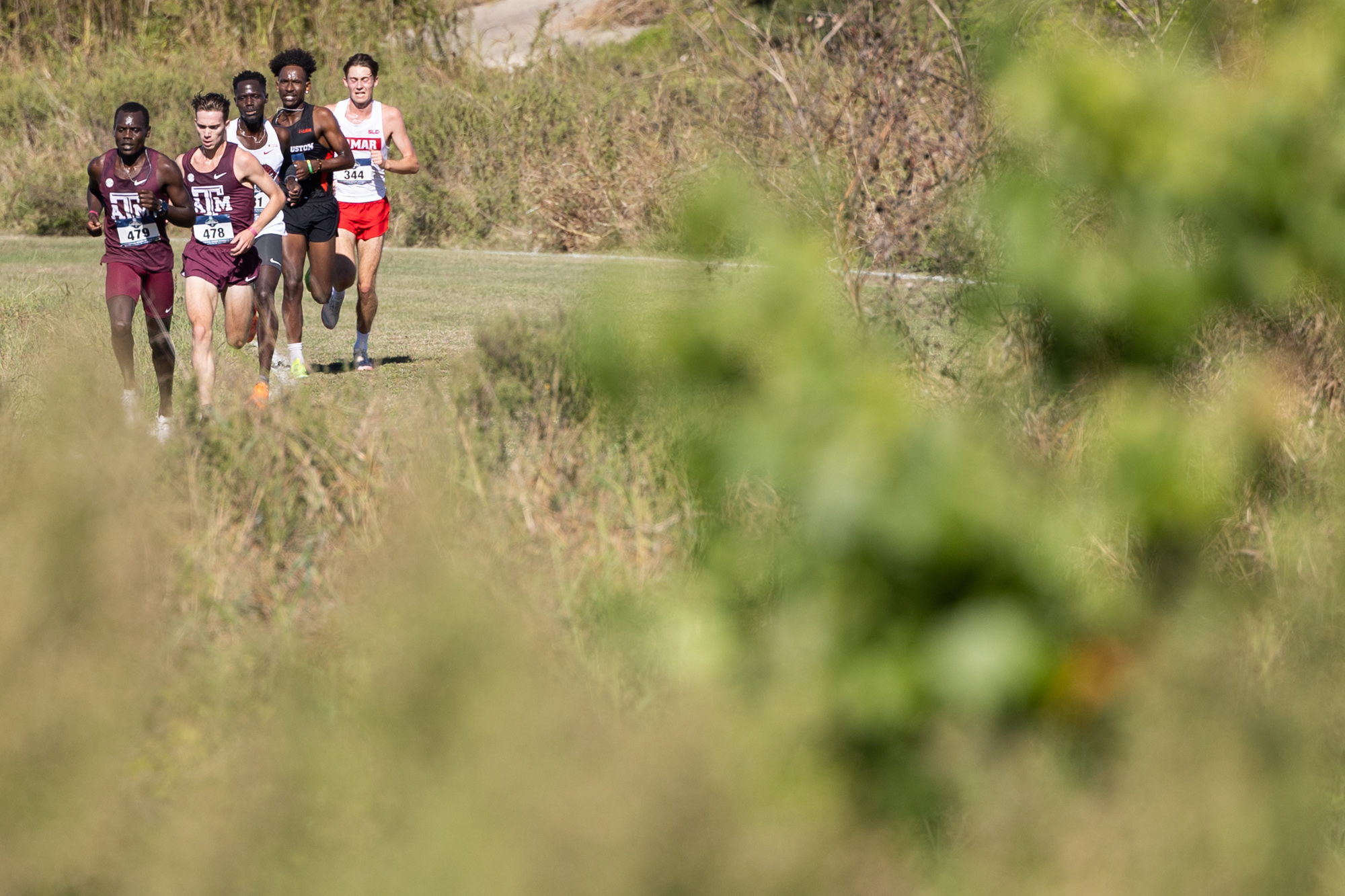 GALLERY: Cross Country at NCAA South Central Regionals