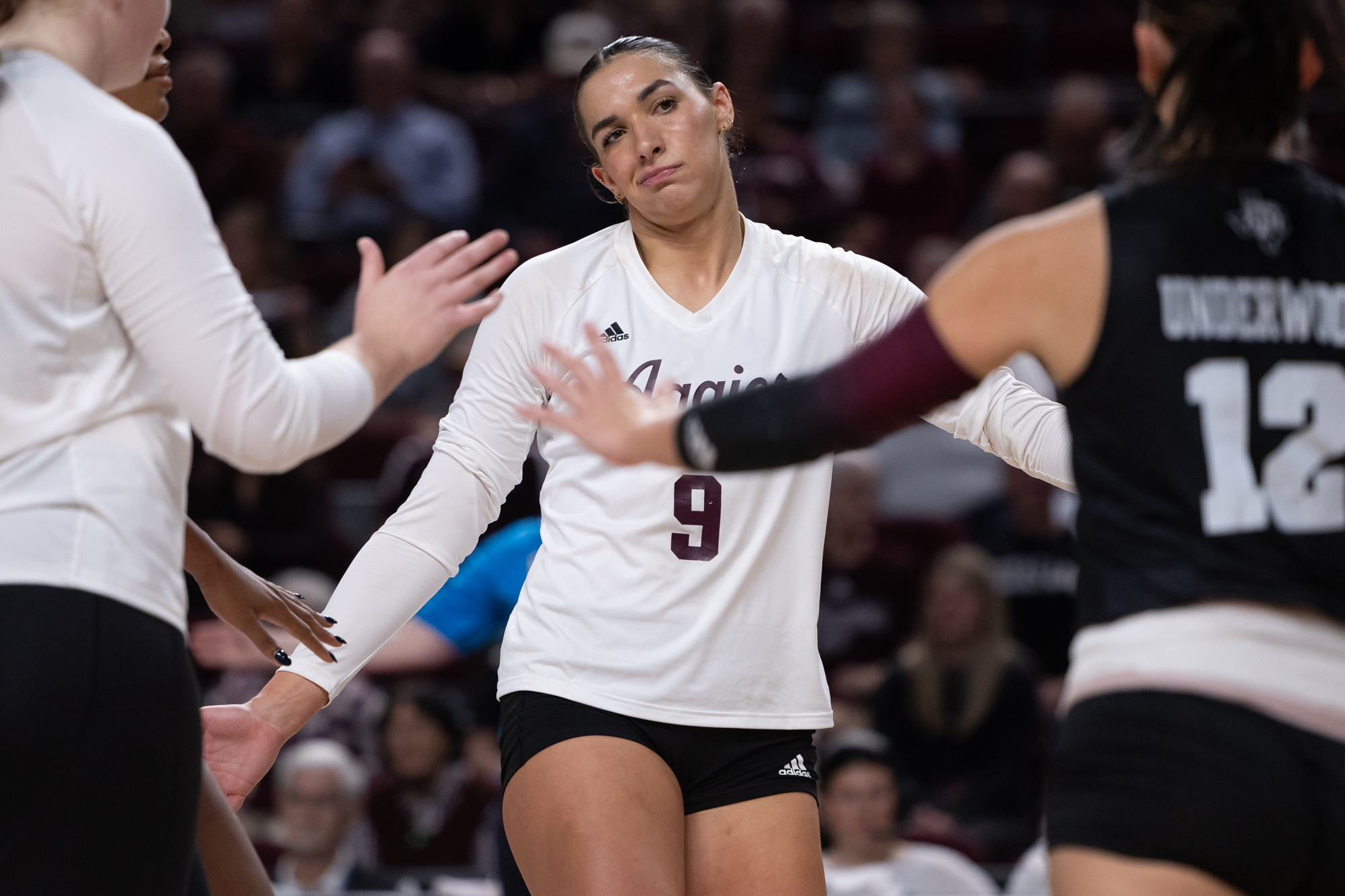 GALLERY: Volleyball vs. LSU