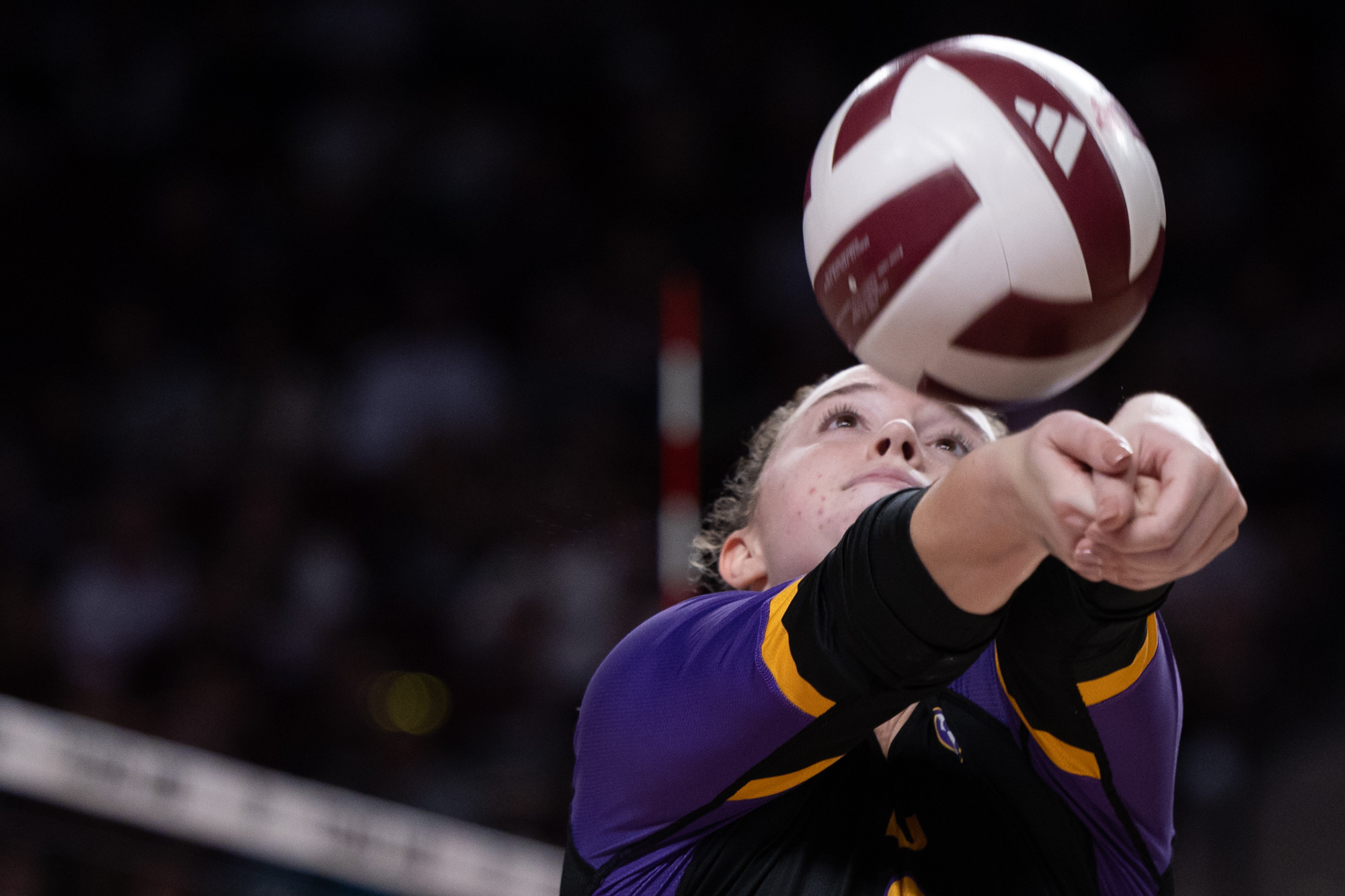 GALLERY: Volleyball vs. LSU