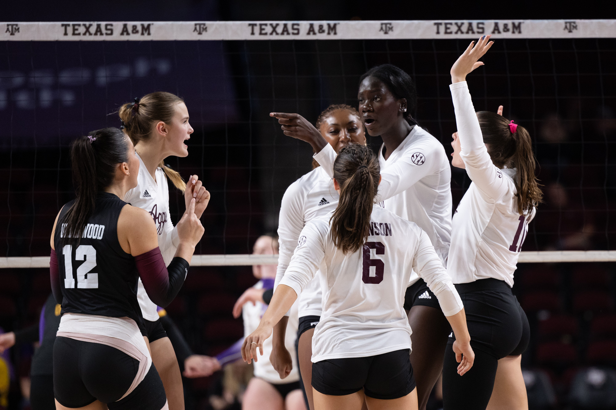 GALLERY: Volleyball vs. LSU