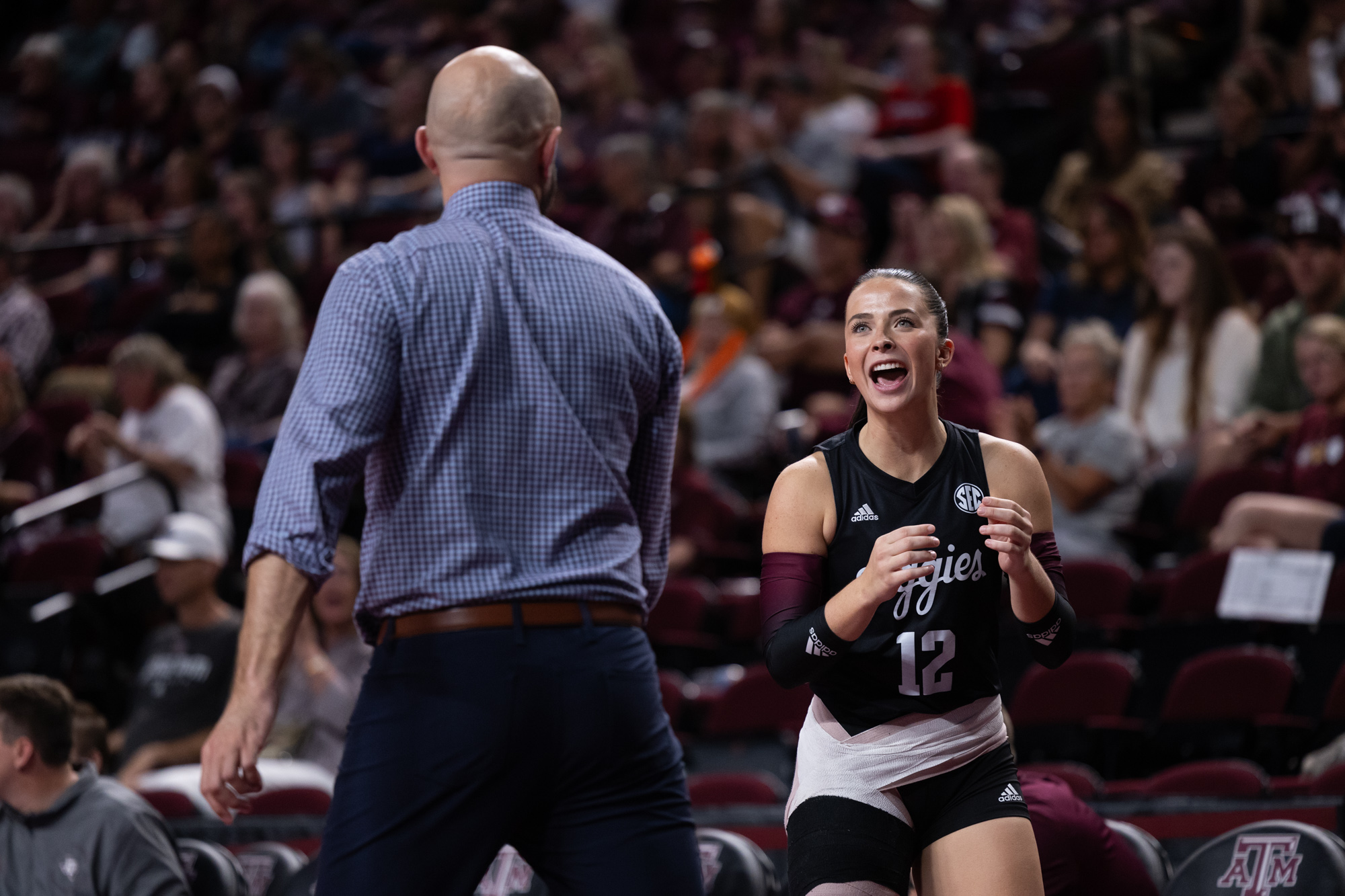 GALLERY: Volleyball vs. LSU