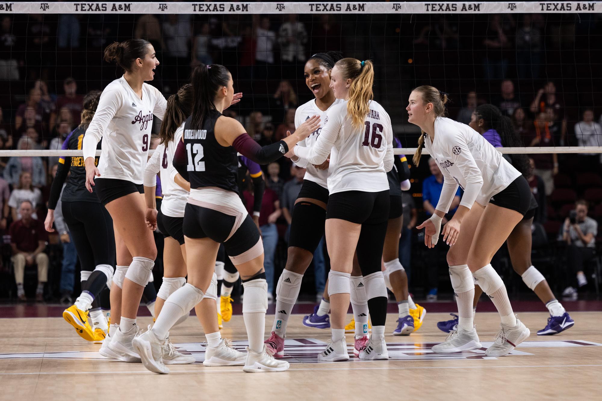 GALLERY: Volleyball vs. LSU