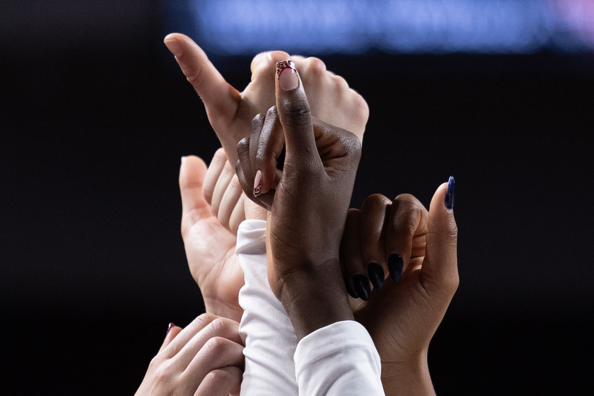 GALLERY: Volleyball vs. LSU