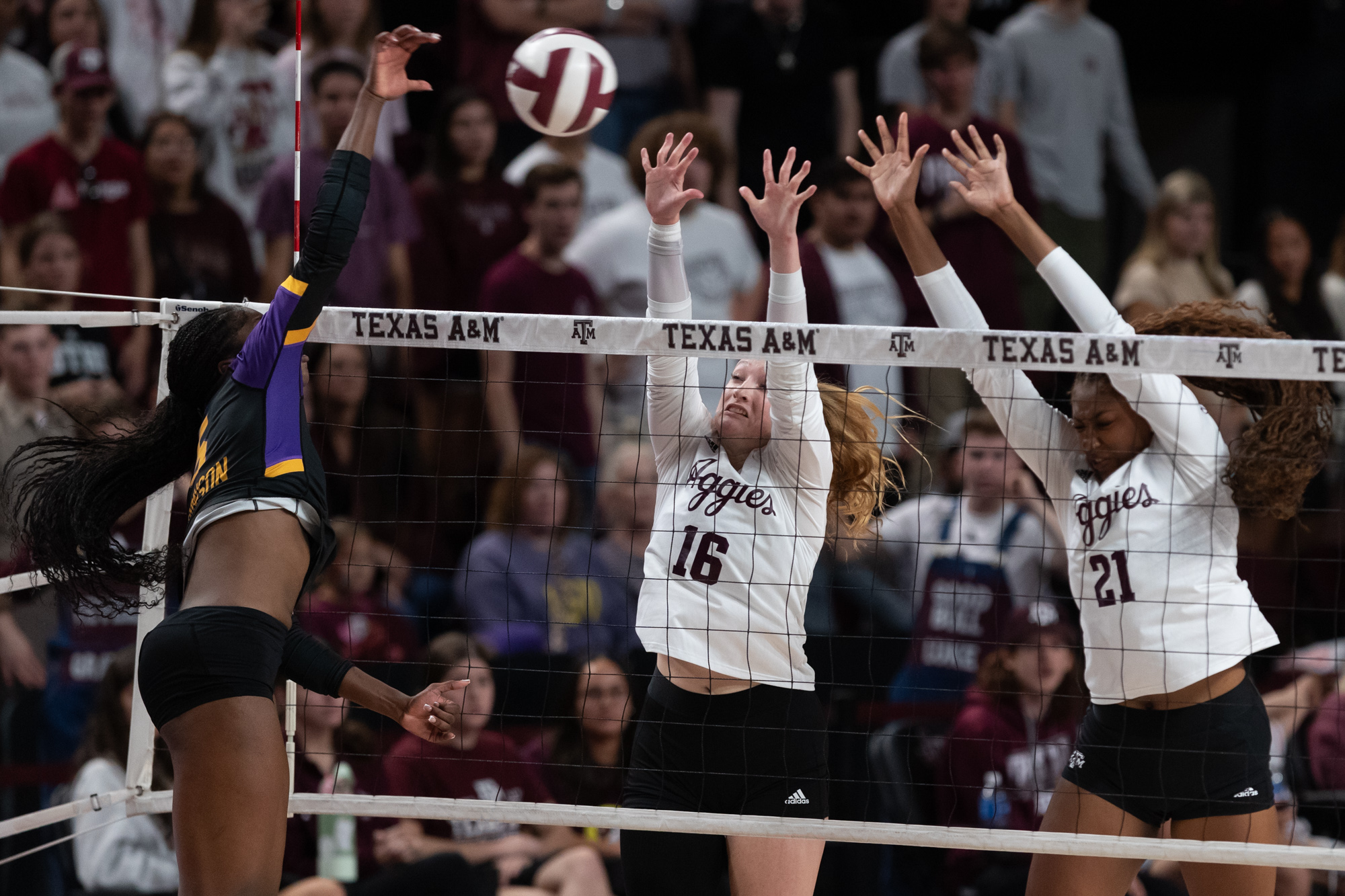 GALLERY: Volleyball vs. LSU