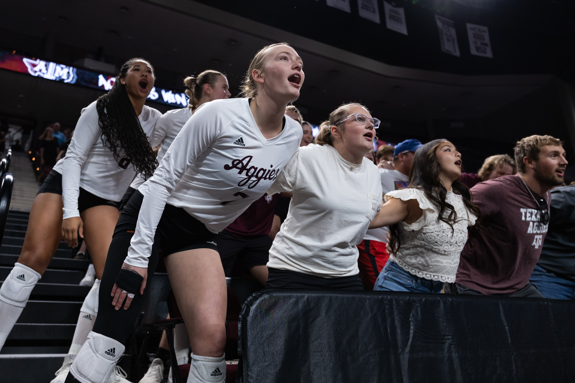 GALLERY: Volleyball vs. LSU