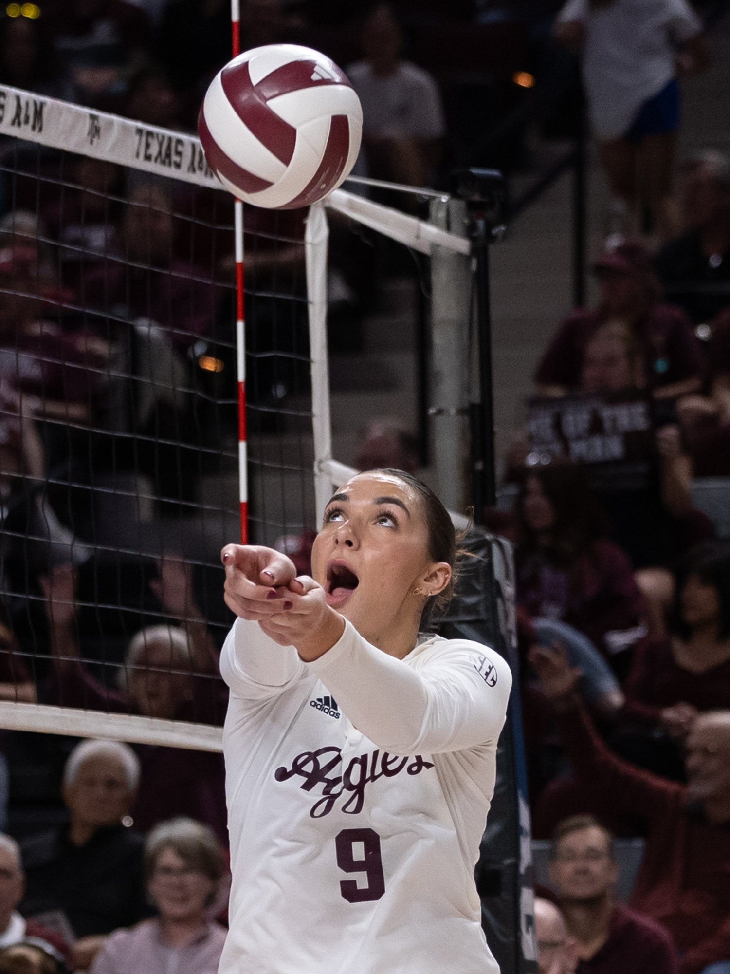 GALLERY: Volleyball vs. LSU