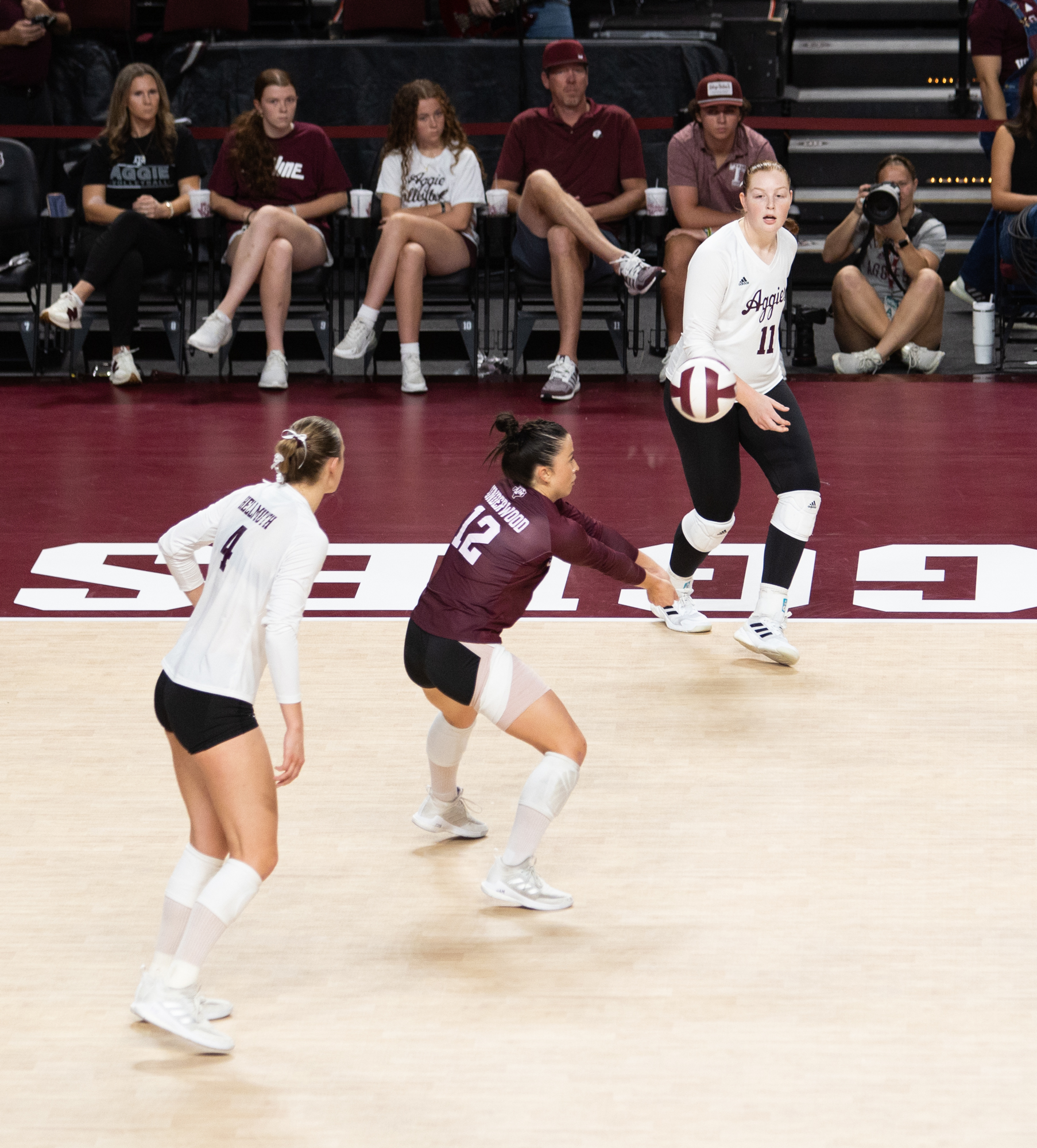 GALLERY: Volleyball vs. Mississippi State