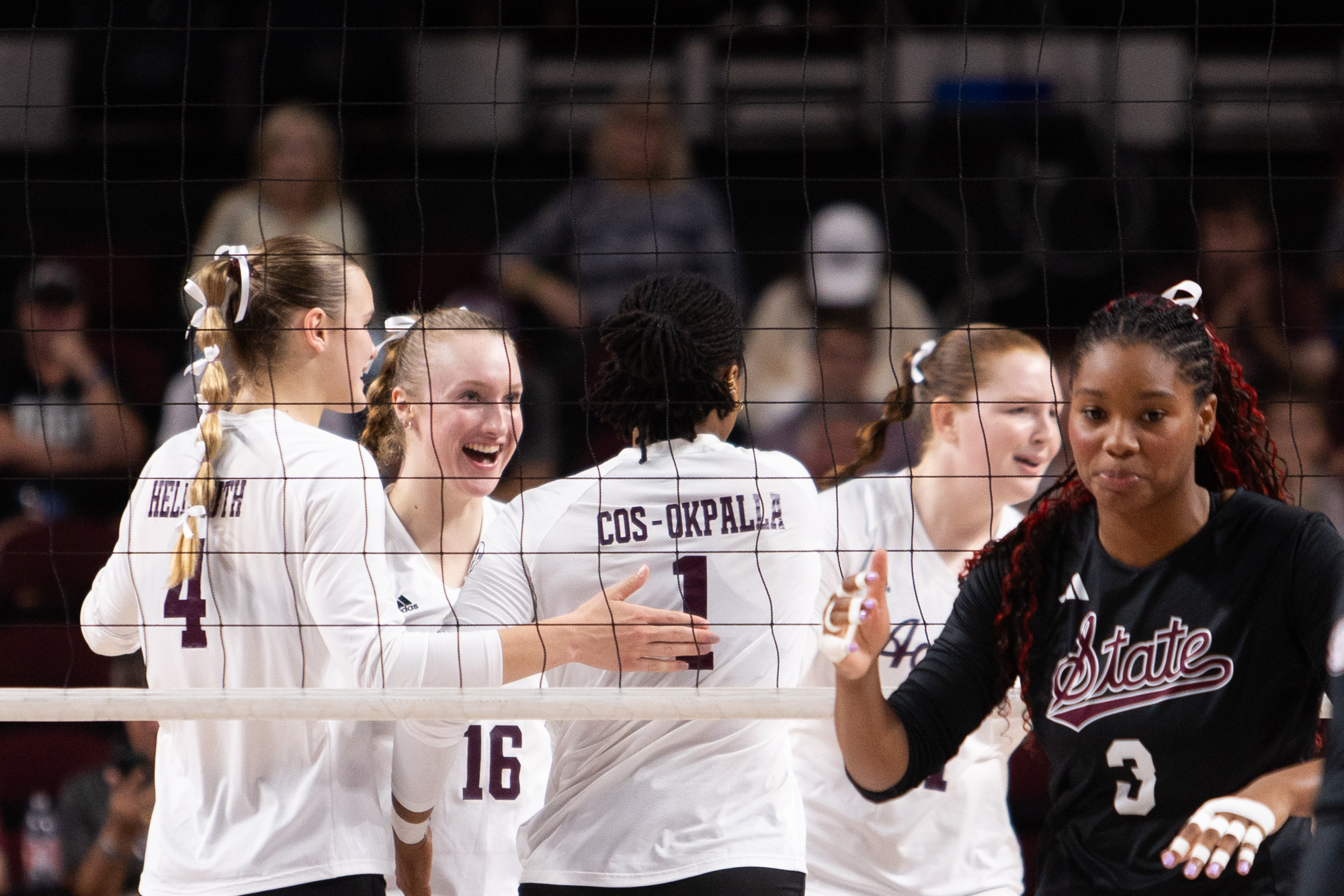 GALLERY: Volleyball vs. Mississippi State