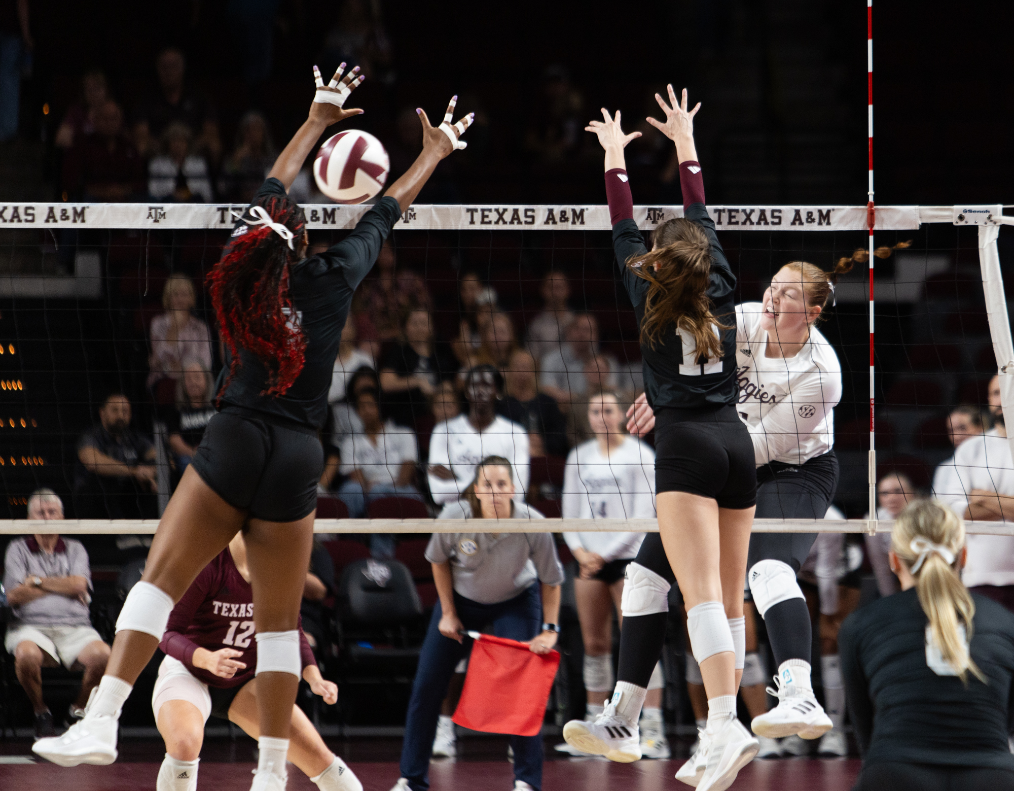 GALLERY: Volleyball vs. Mississippi State