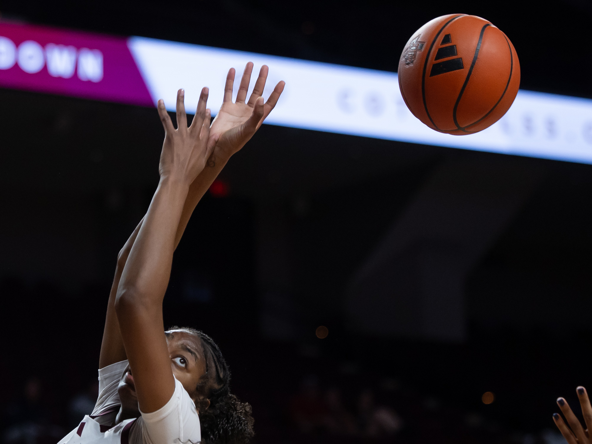 GALLERY: Women's Basketball vs. A&M-Corpus Christi