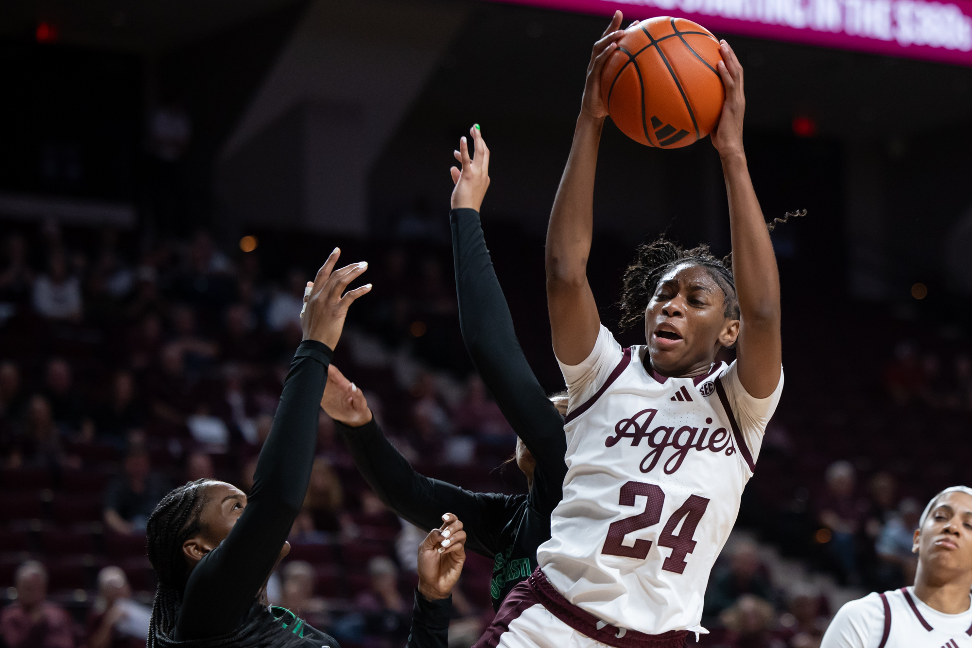 GALLERY: Women's Basketball vs. A&M-Corpus Christi