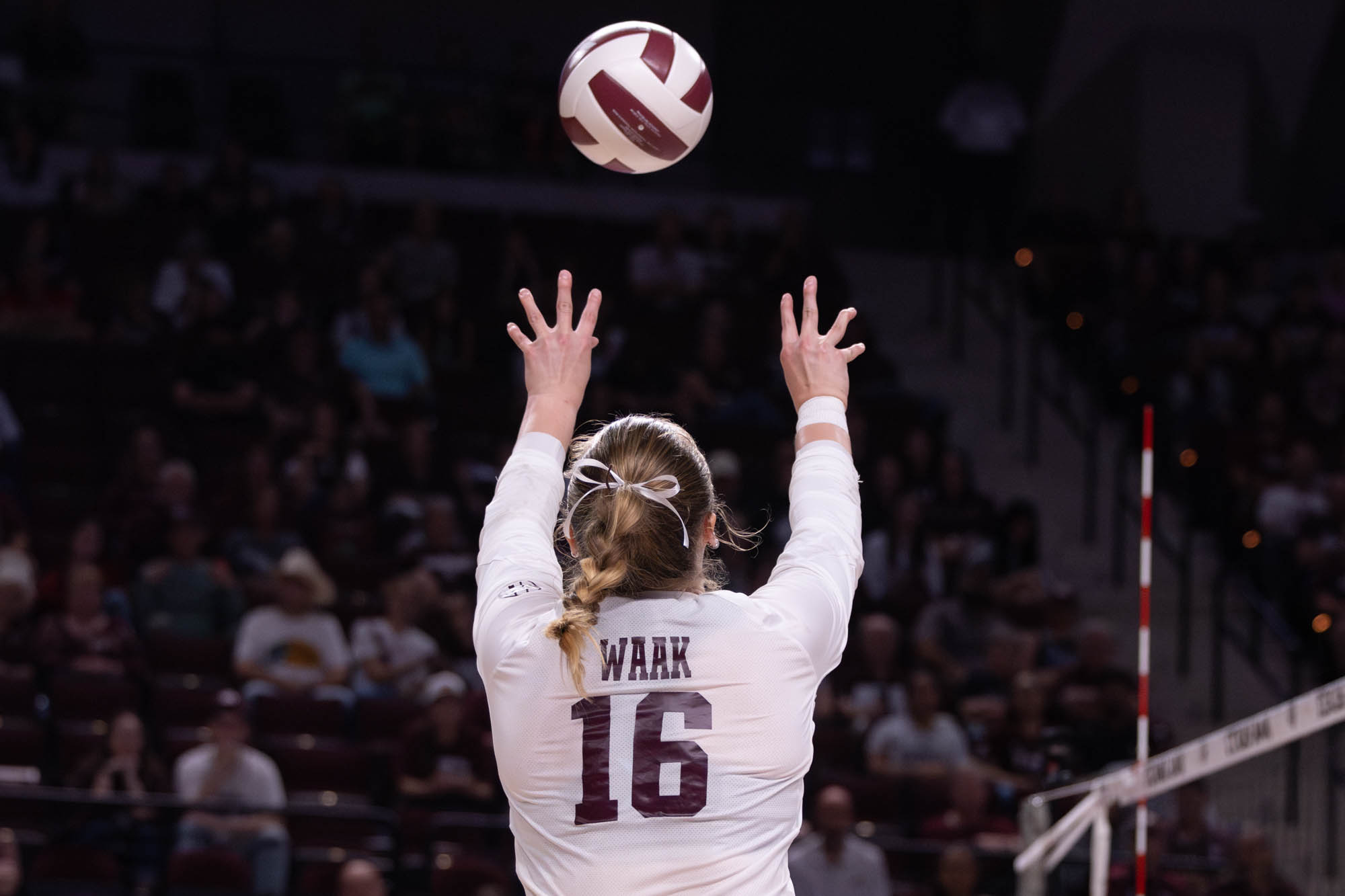 GALLERY: Volleyball vs. Mississippi State