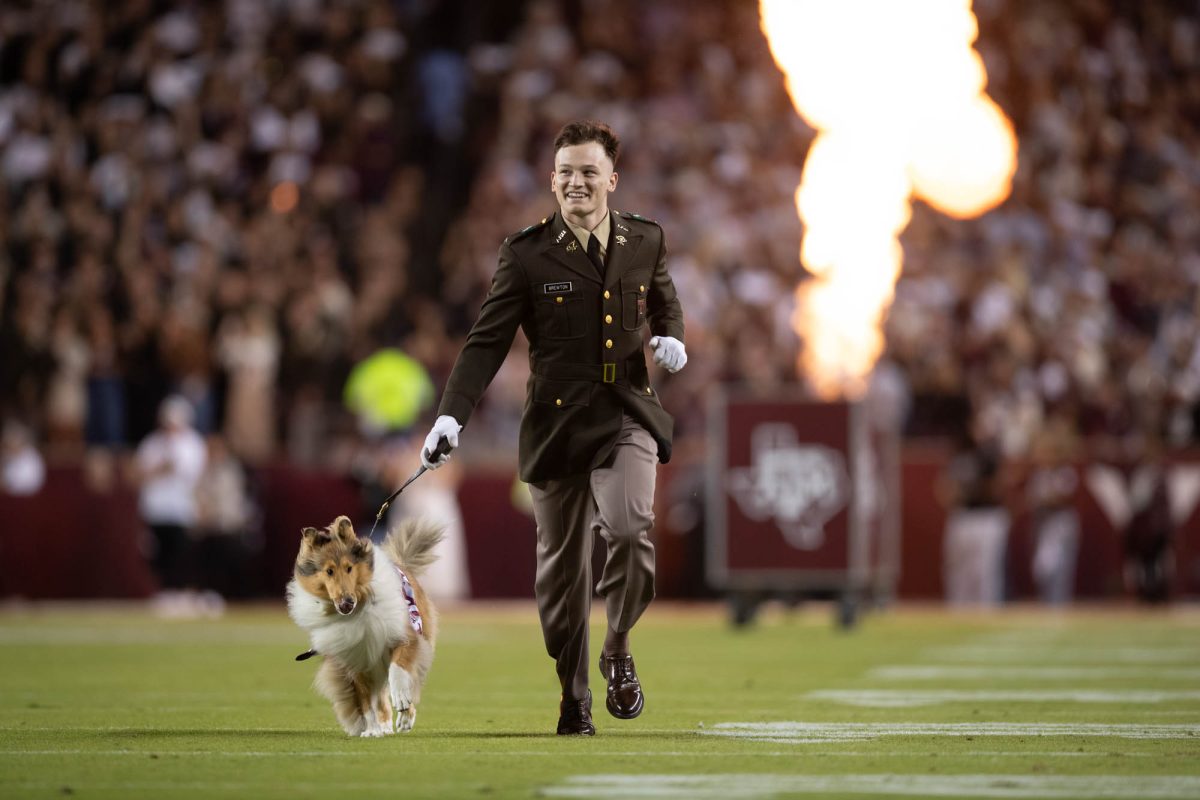 Reveille X and handler Josh Brewton run out with the team during Texas A&amp;M’s game against New Mexico State at Kyle Field on Saturday, Nov. 16, 2024. (Trinity Hindman/The Battalion)