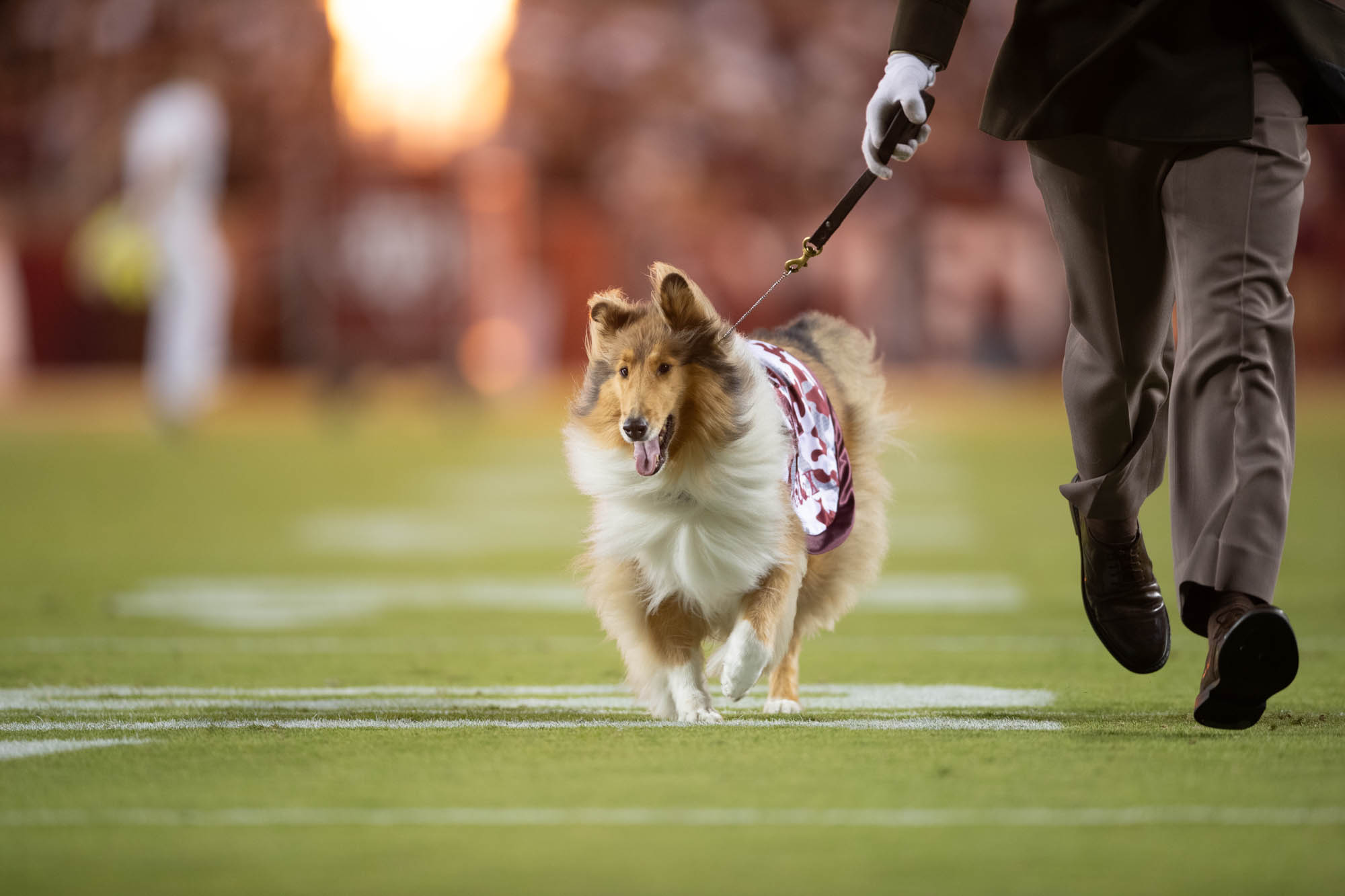 GALLERY: Football vs. New Mexico State