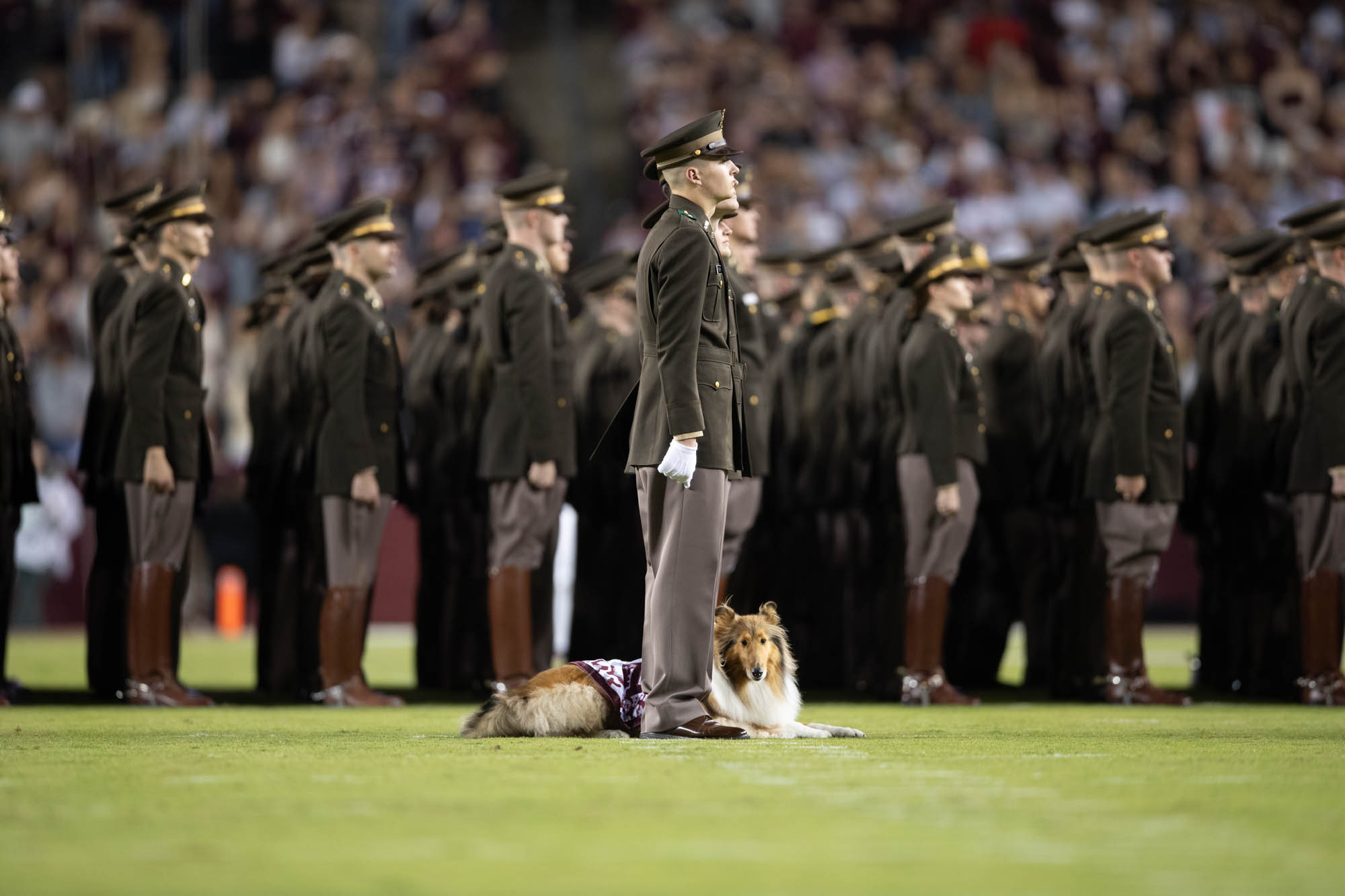 GALLERY: Football vs. New Mexico State