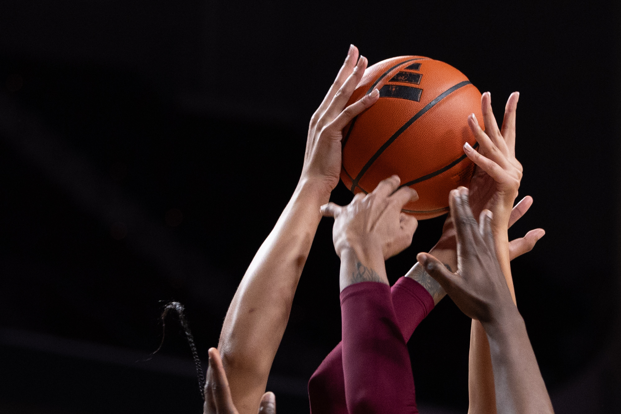 GALLERY: Women's Basketball vs. Texas Southern