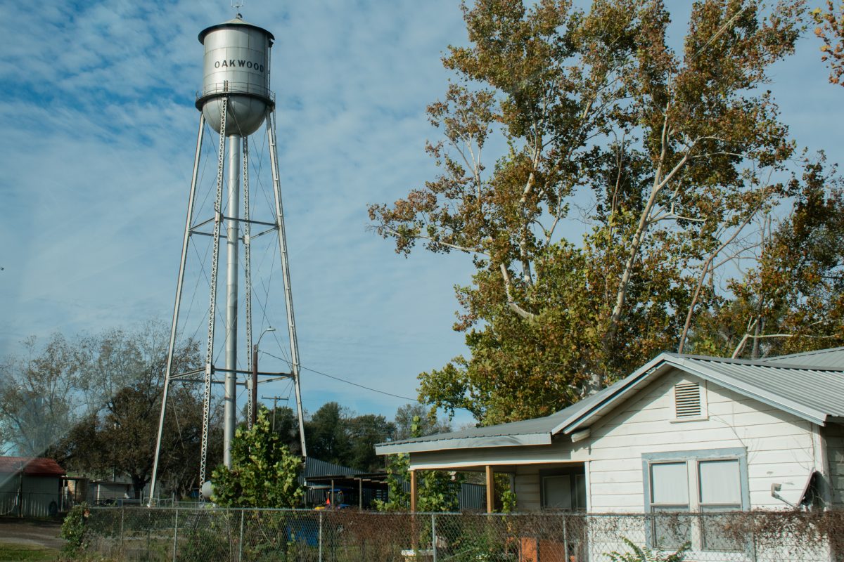 Rural Oakwood, Texas's water tower on November 27, 2024. (Jessica Roppolo/The Battalion)