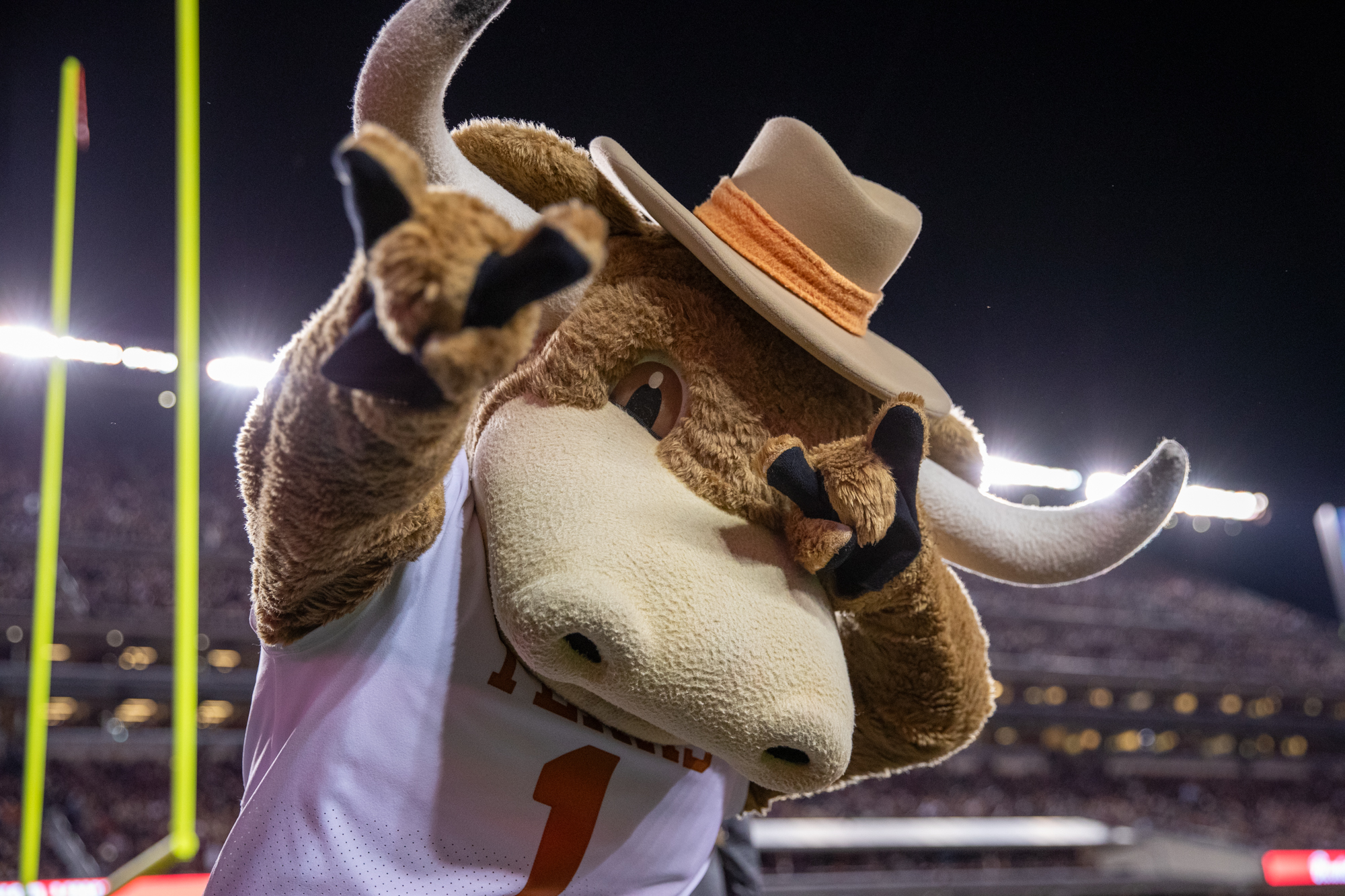 GALLERY: Football vs. texas