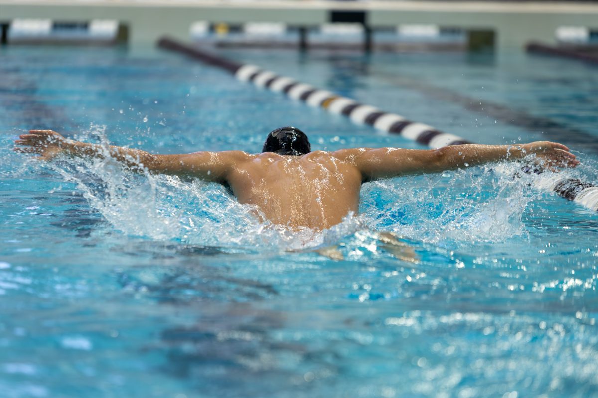 01 18 2024 Swim And Dive V Lsu 17