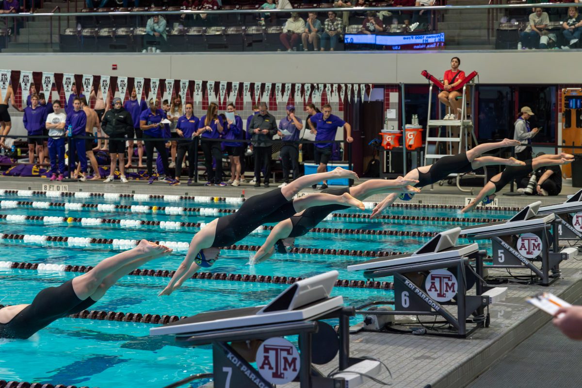 Swimmers dive in at the beginning of a race during Texas A&M’s swim meet against Louisiana State University at the Rec Center Natatorium on Saturday, Jan. 18, 2025. (Jackson Stanley/The Battalion)