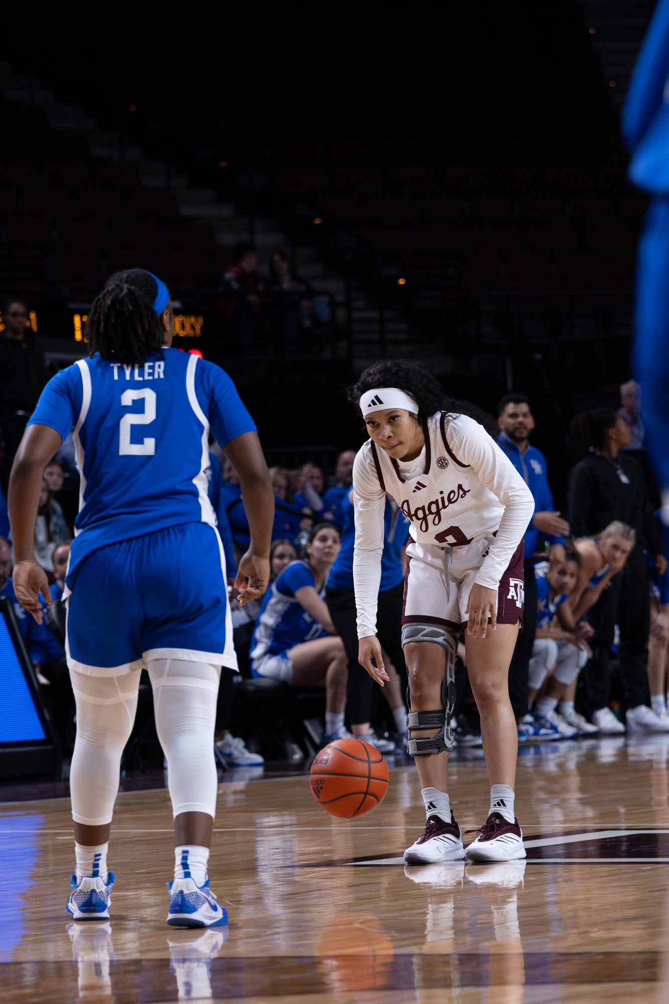 GALLERY: Women's Basketball vs. Kentucky