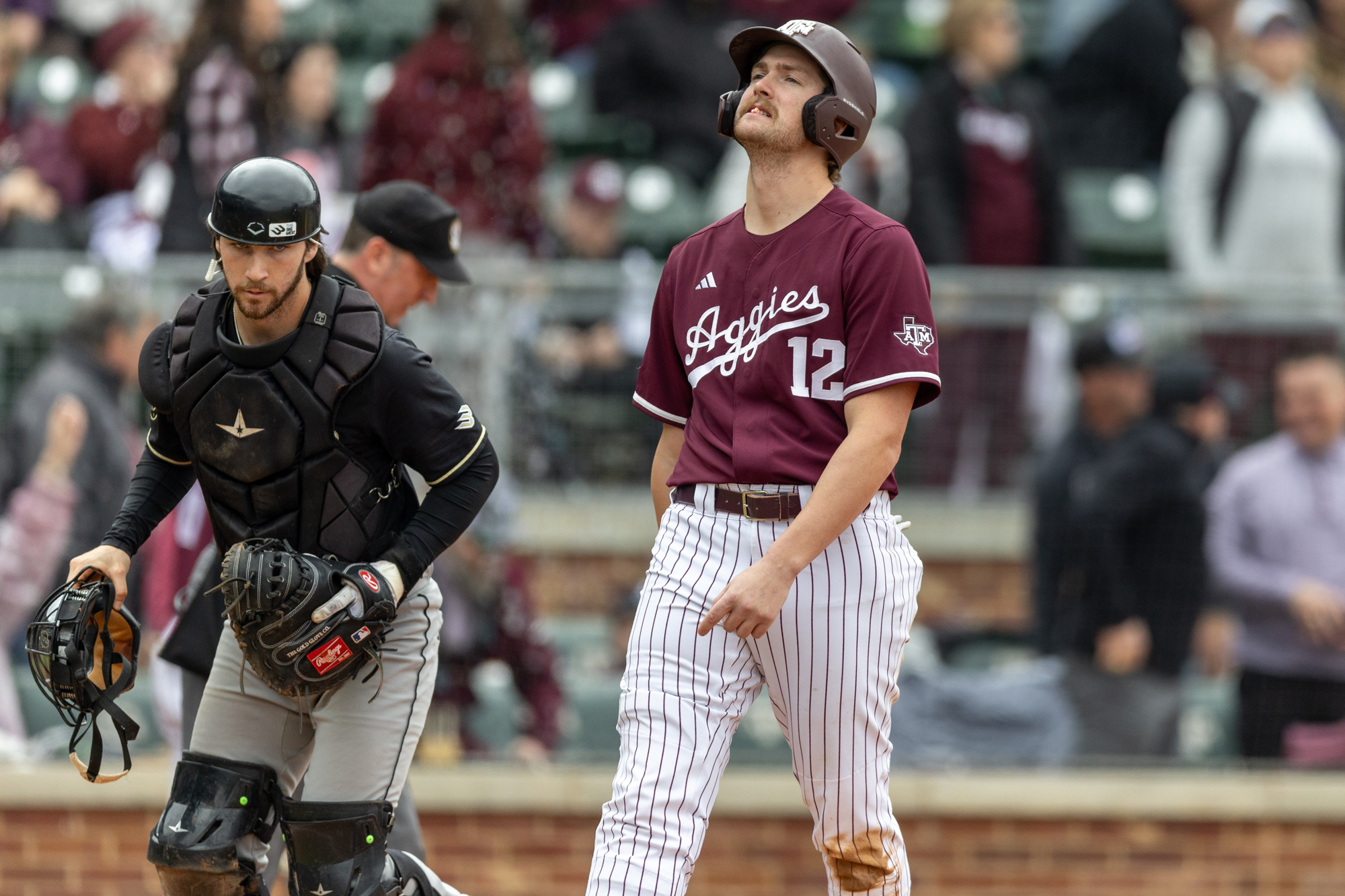 GALLERY: Baseball vs. Cal Poly