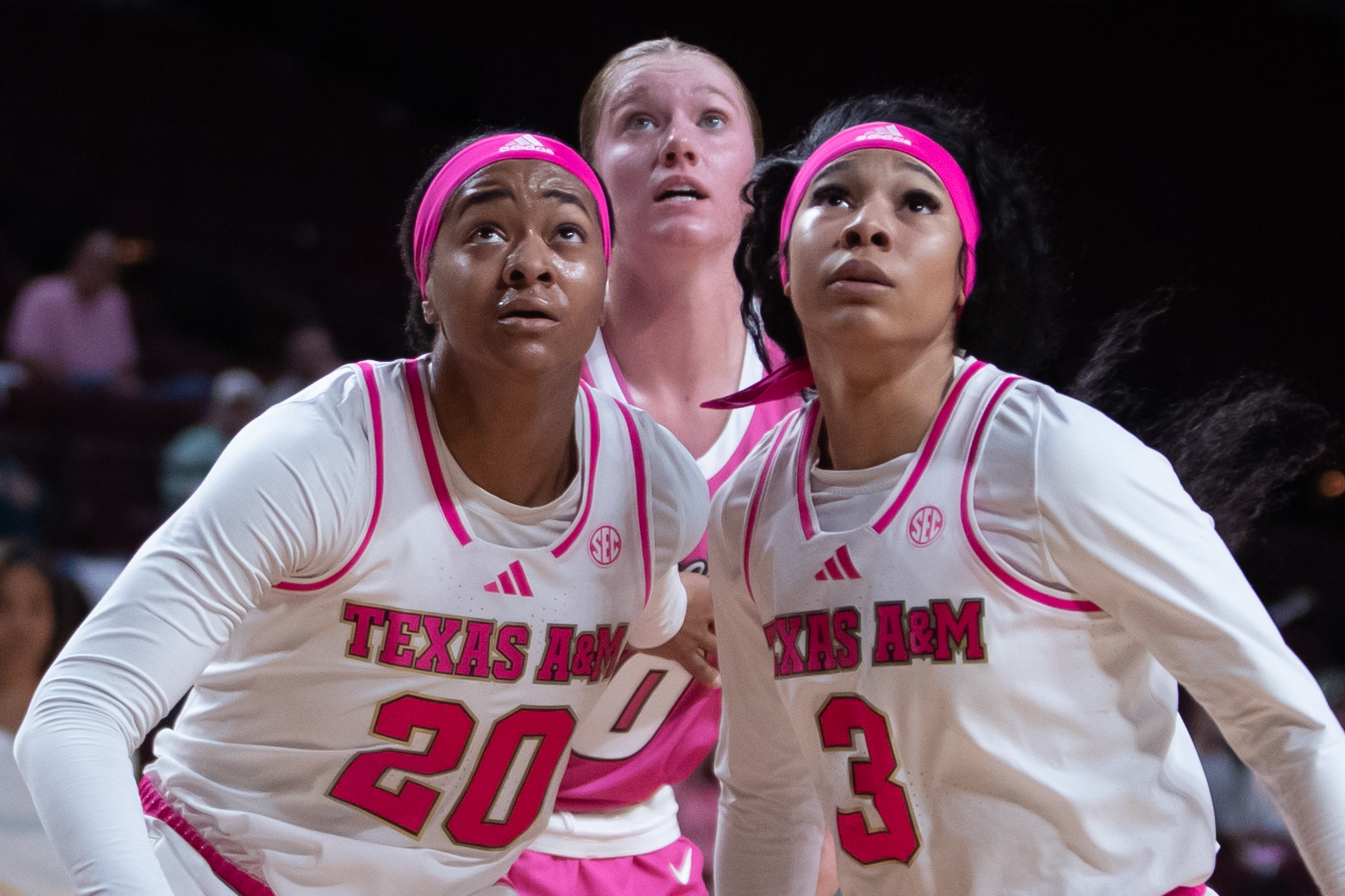 GALLERY: Women's Basketball vs. Missouri