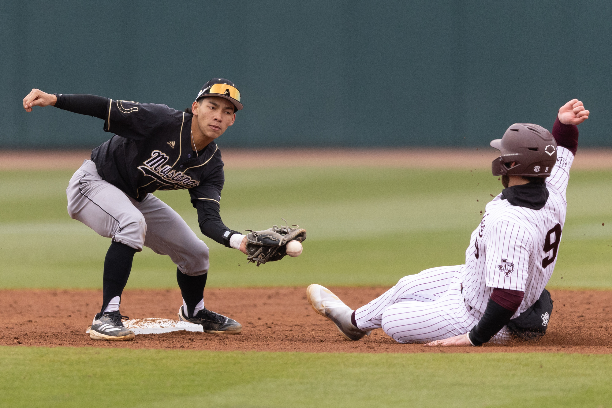 GALLERY: Baseball vs. Cal Poly