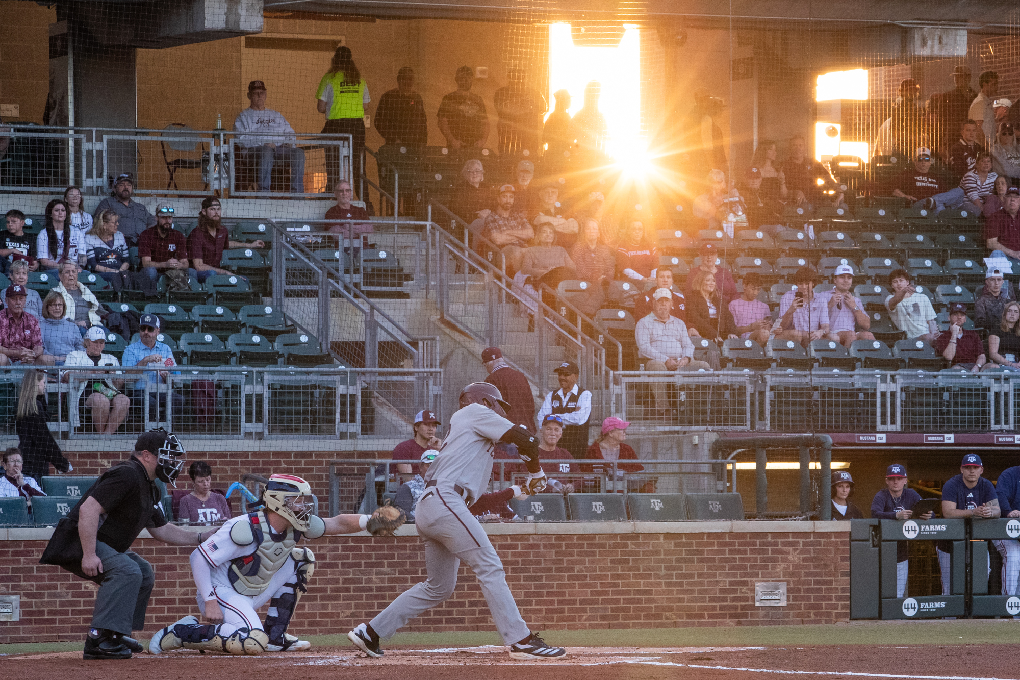 GALLERY: Baseball vs. Texas State